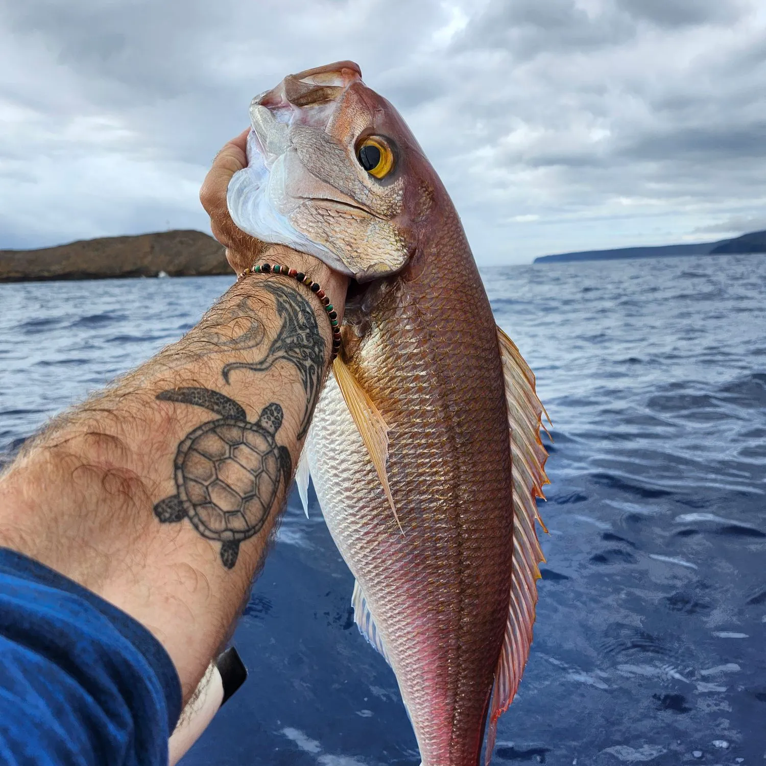 The most popular recent Crimson jobfish catch on Fishbrain