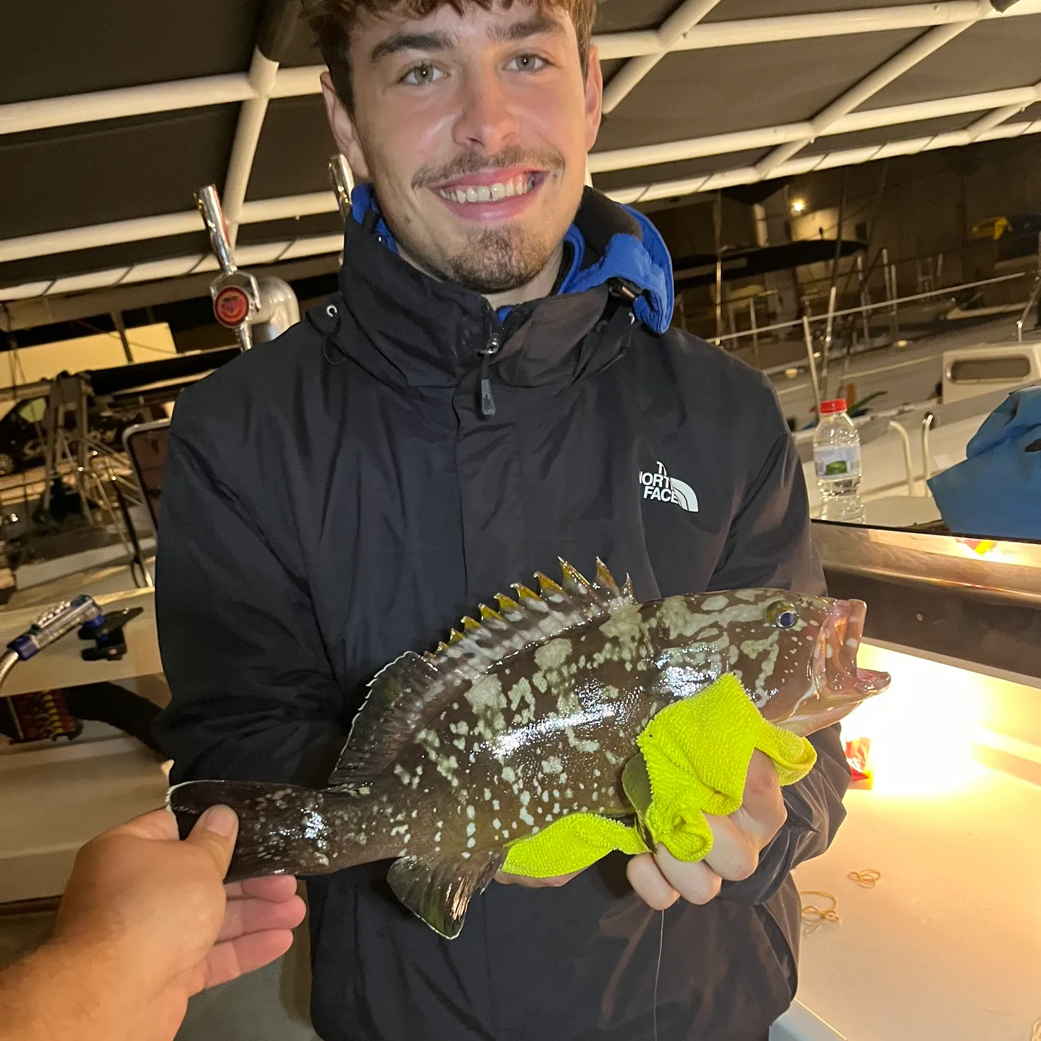 The most popular recent Dusky grouper catch on Fishbrain