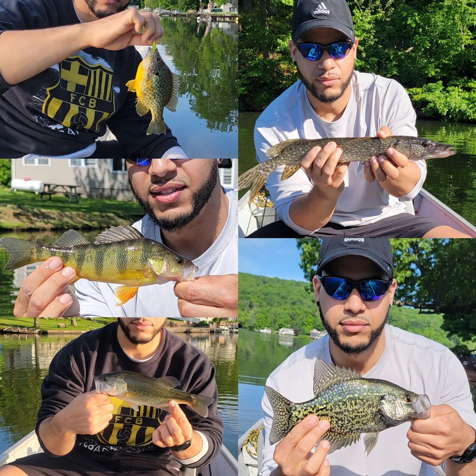 recently logged catches