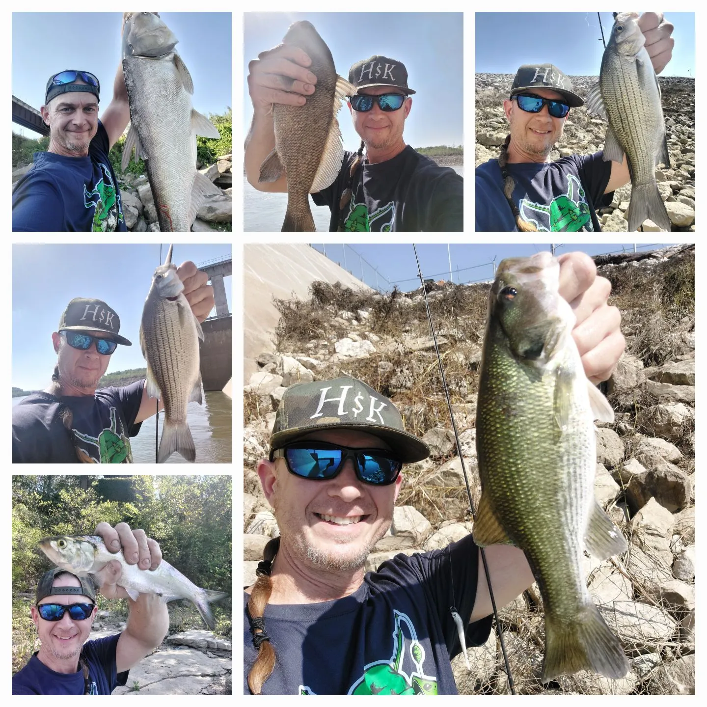 recently logged catches