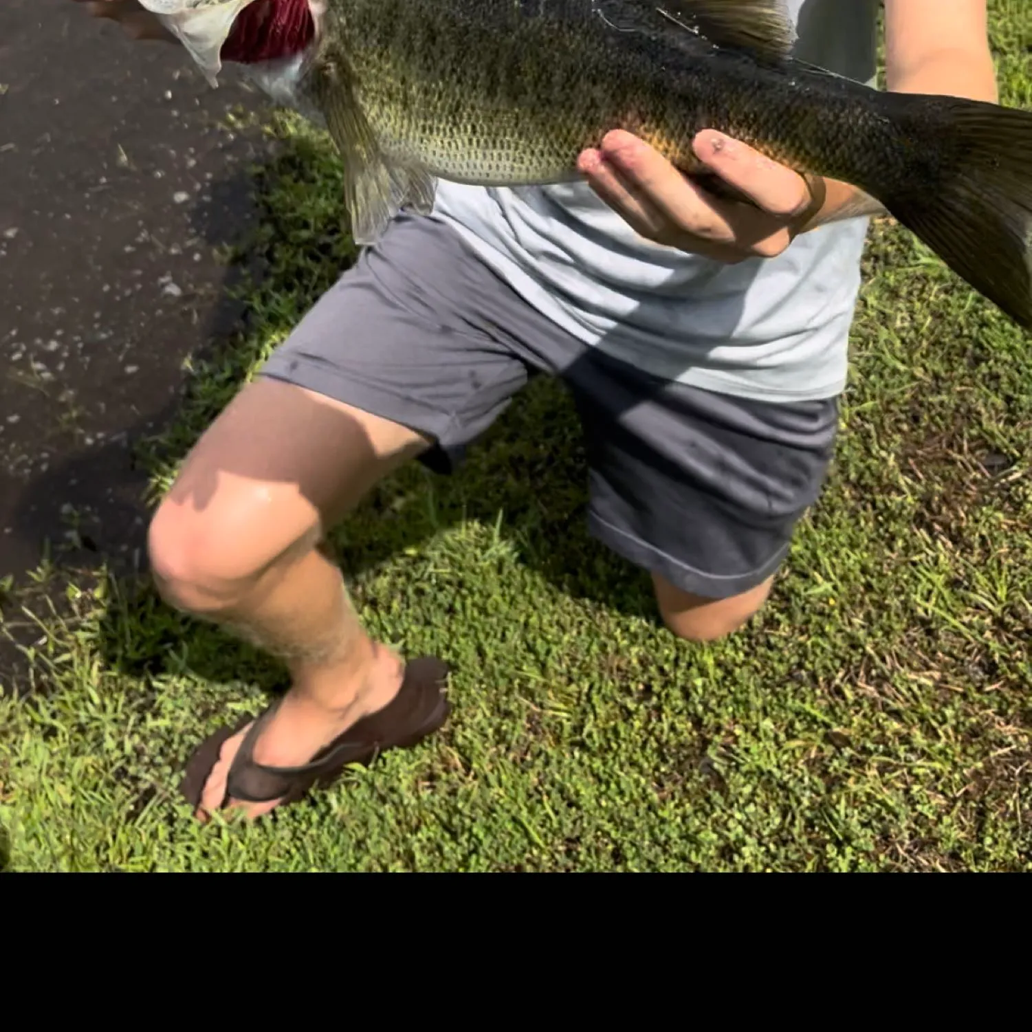 The most popular recent Florida bass catch on Fishbrain