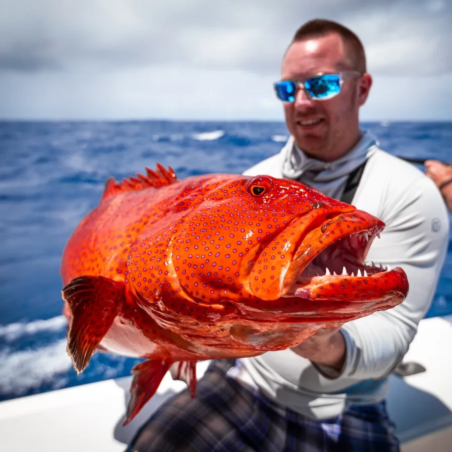 The most popular recent Leopard coralgrouper catch on Fishbrain