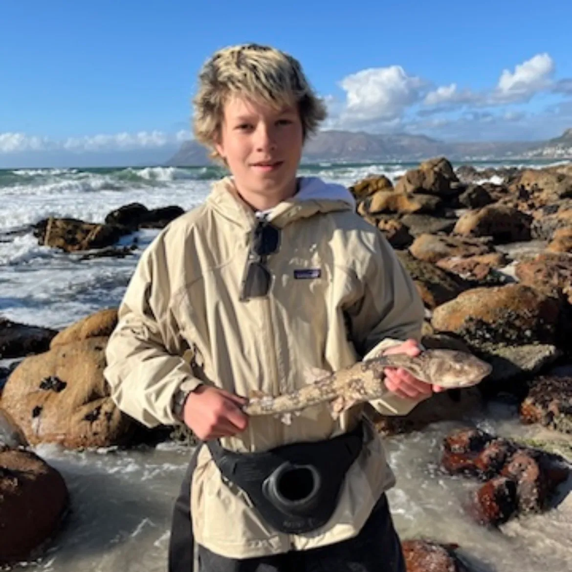 The most popular recent Puffadder shyshark catch on Fishbrain