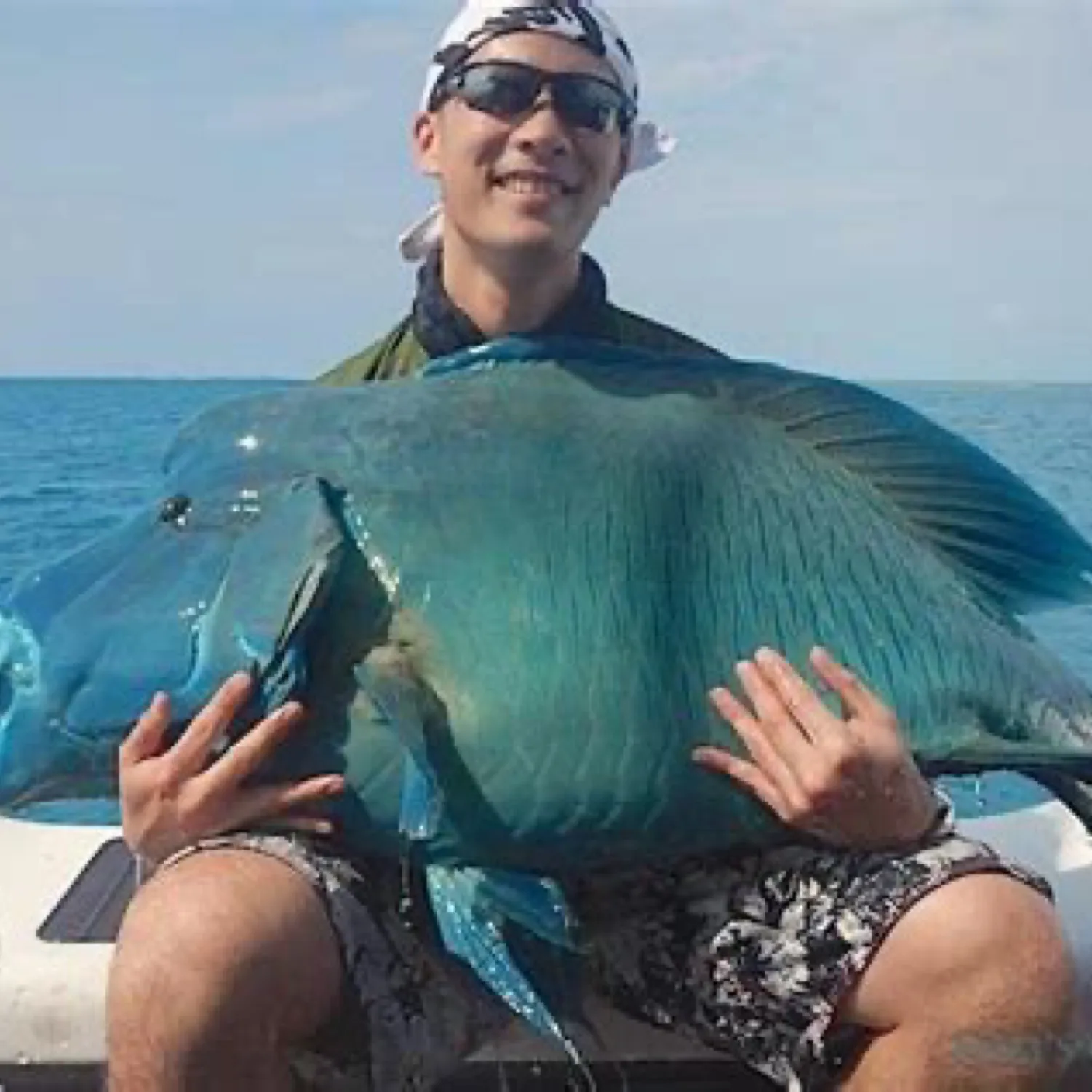 The most popular recent Humphead wrasse catch on Fishbrain