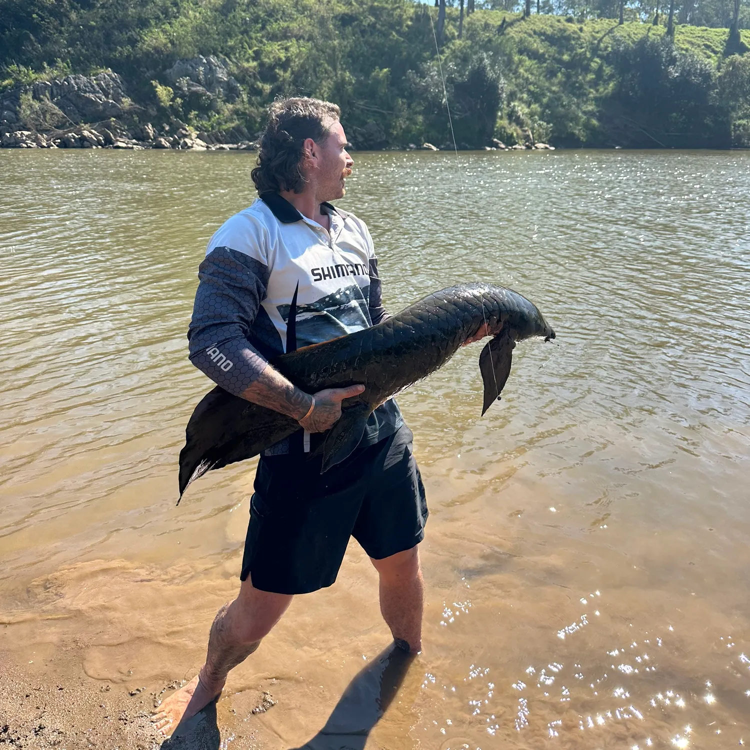 The most popular recent Australian Lungfish catch on Fishbrain