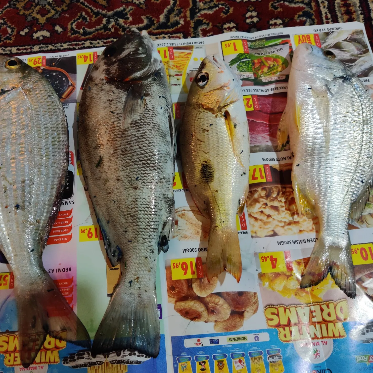 recently logged catches