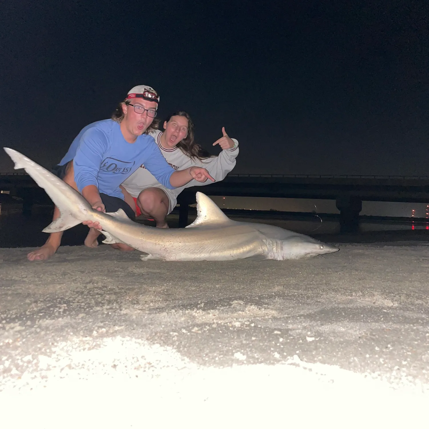 The most popular recent Finetooth shark catch on Fishbrain