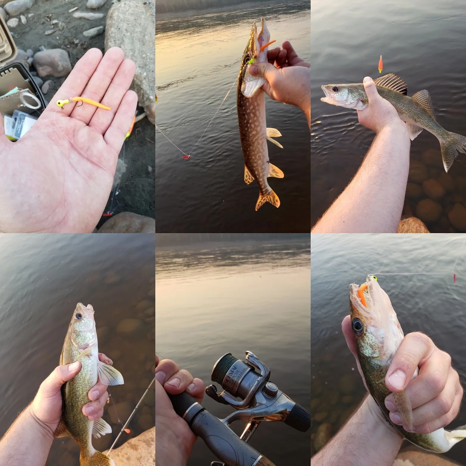 recently logged catches