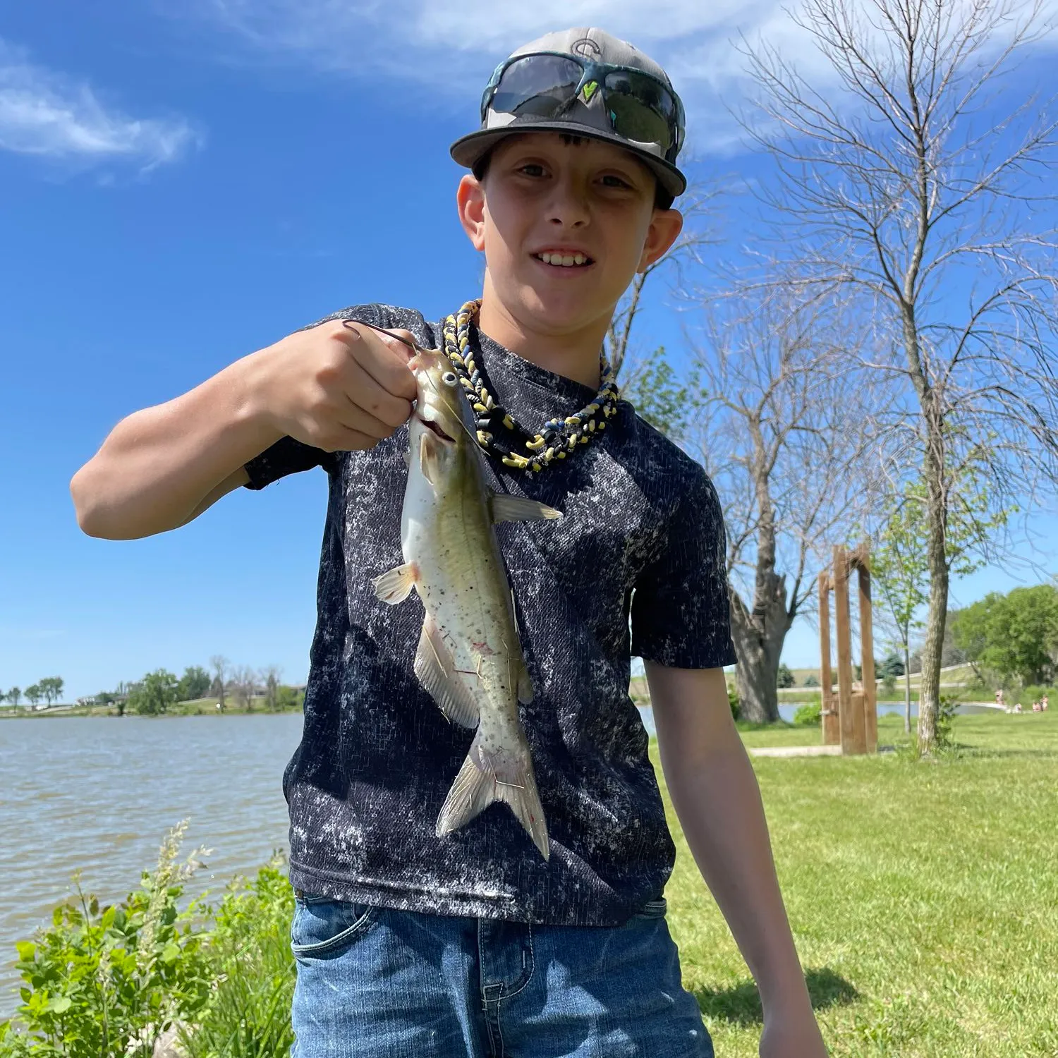 ᐅ Little Wall Lake fishing reports🎣• Ames, IA (United States) fishing