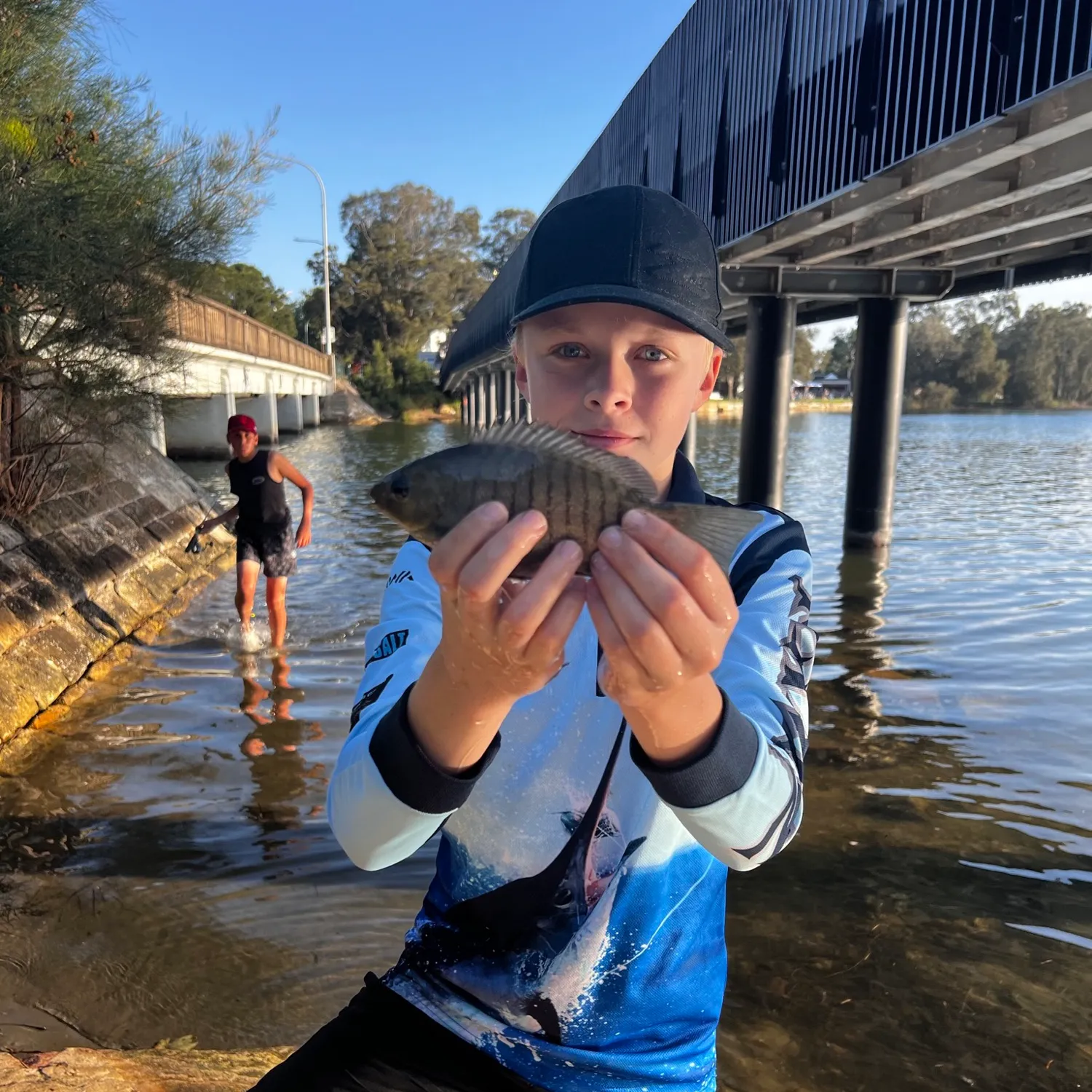 The most popular recent Luderick catch on Fishbrain