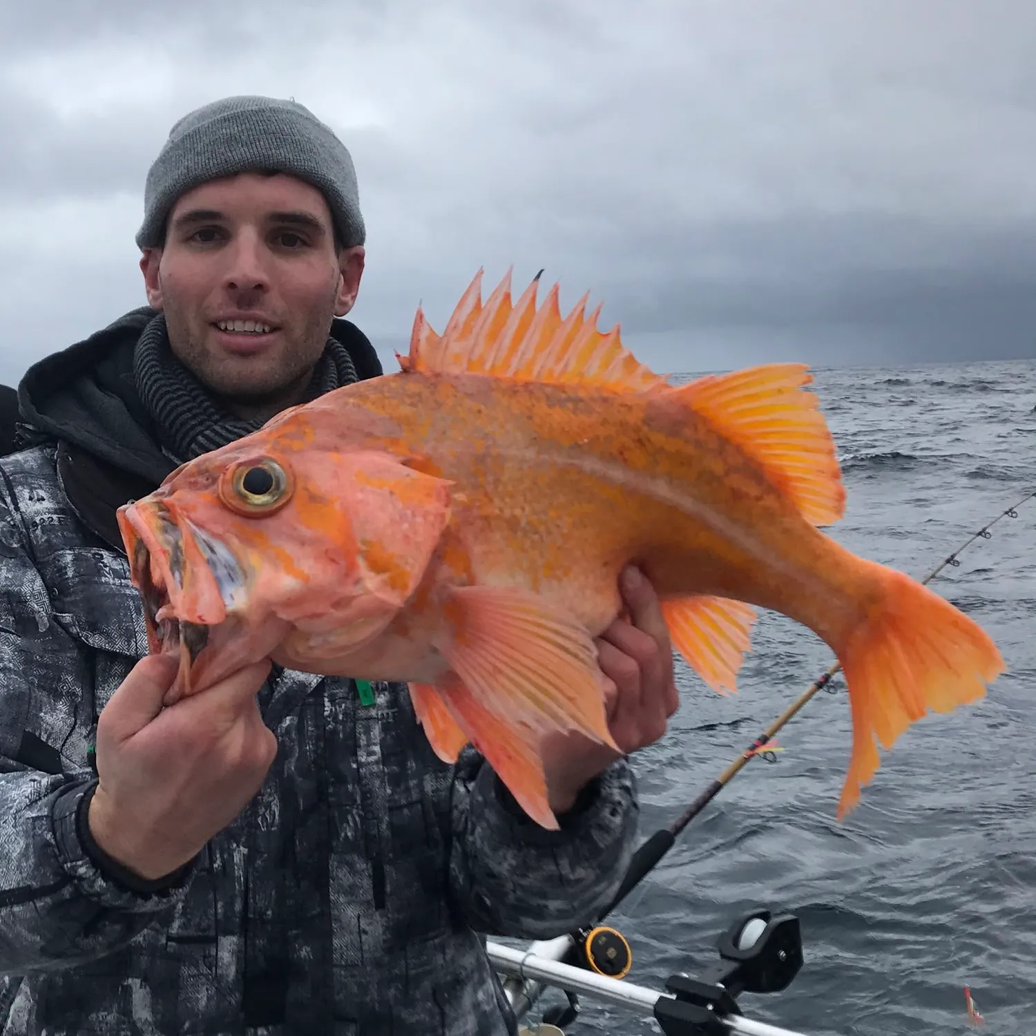 The most popular recent Canary rockfish catch on Fishbrain