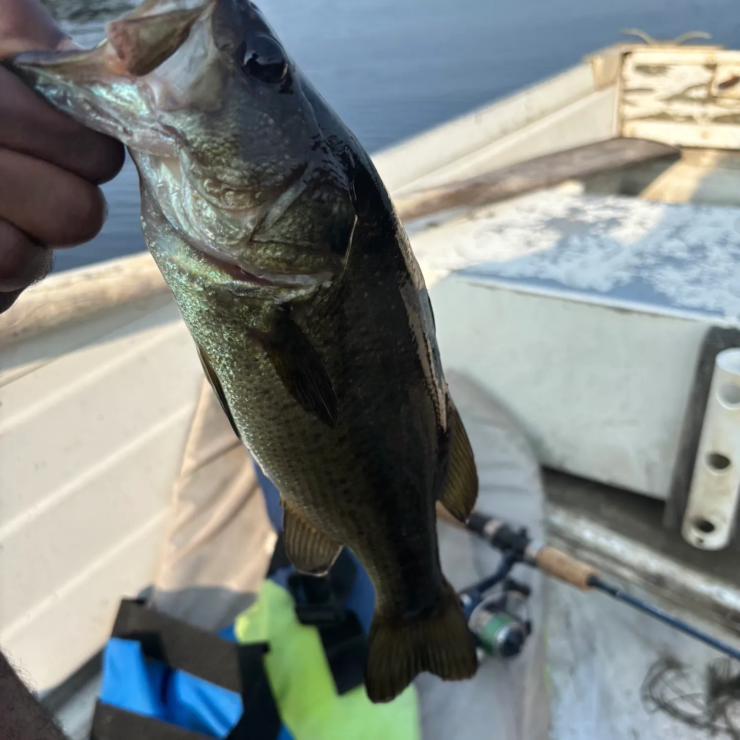 ᐅ Moodus Reservoir fishing reports🎣• Colchester, CT (United States) fishing