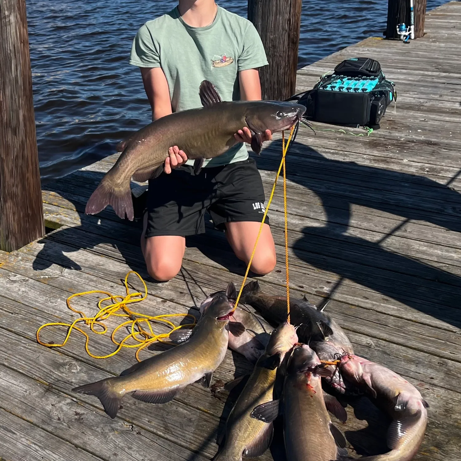 recently logged catches