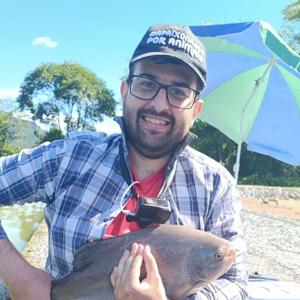 The most popular recent Black pacu catch on Fishbrain