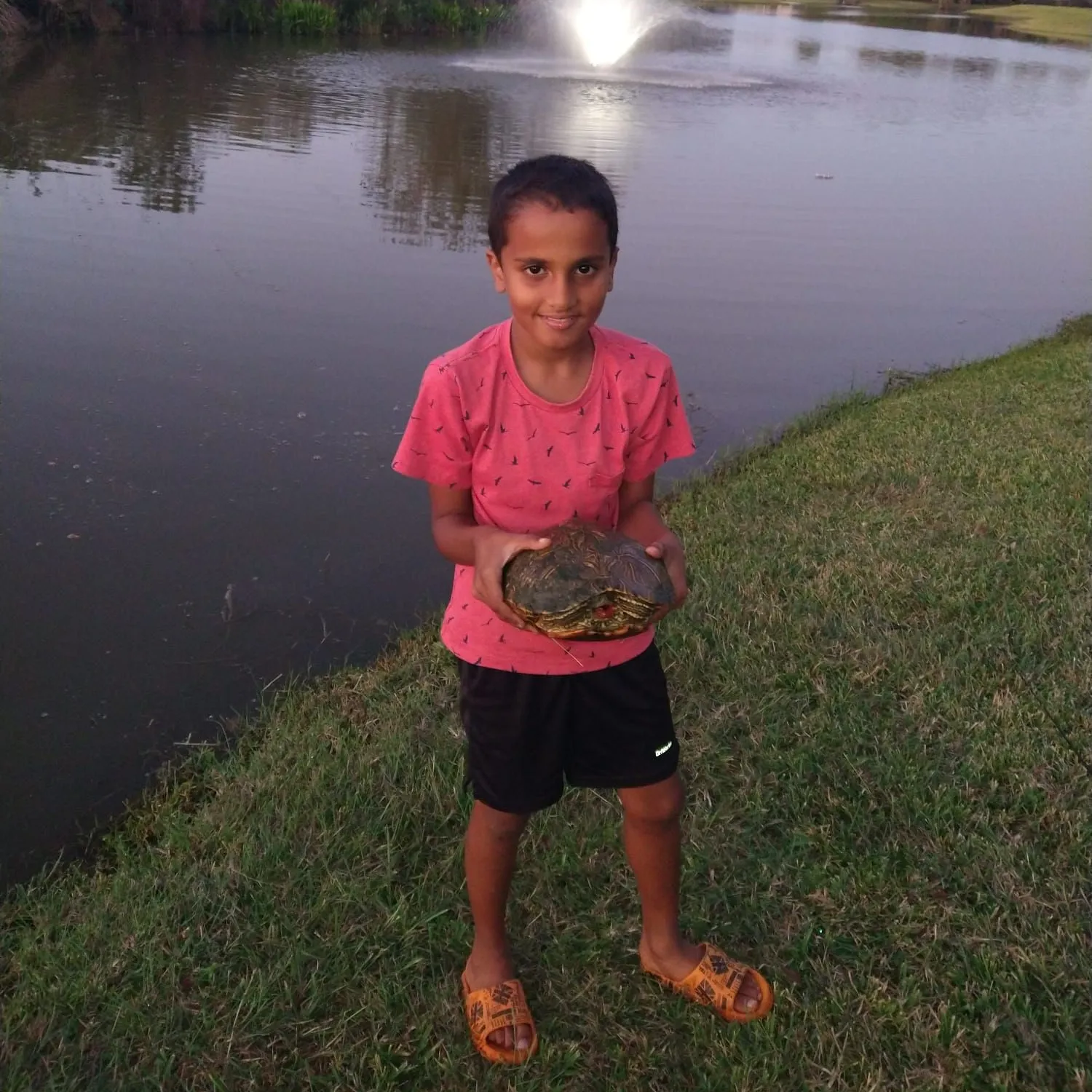 The most popular recent Australian swamp eel catch on Fishbrain