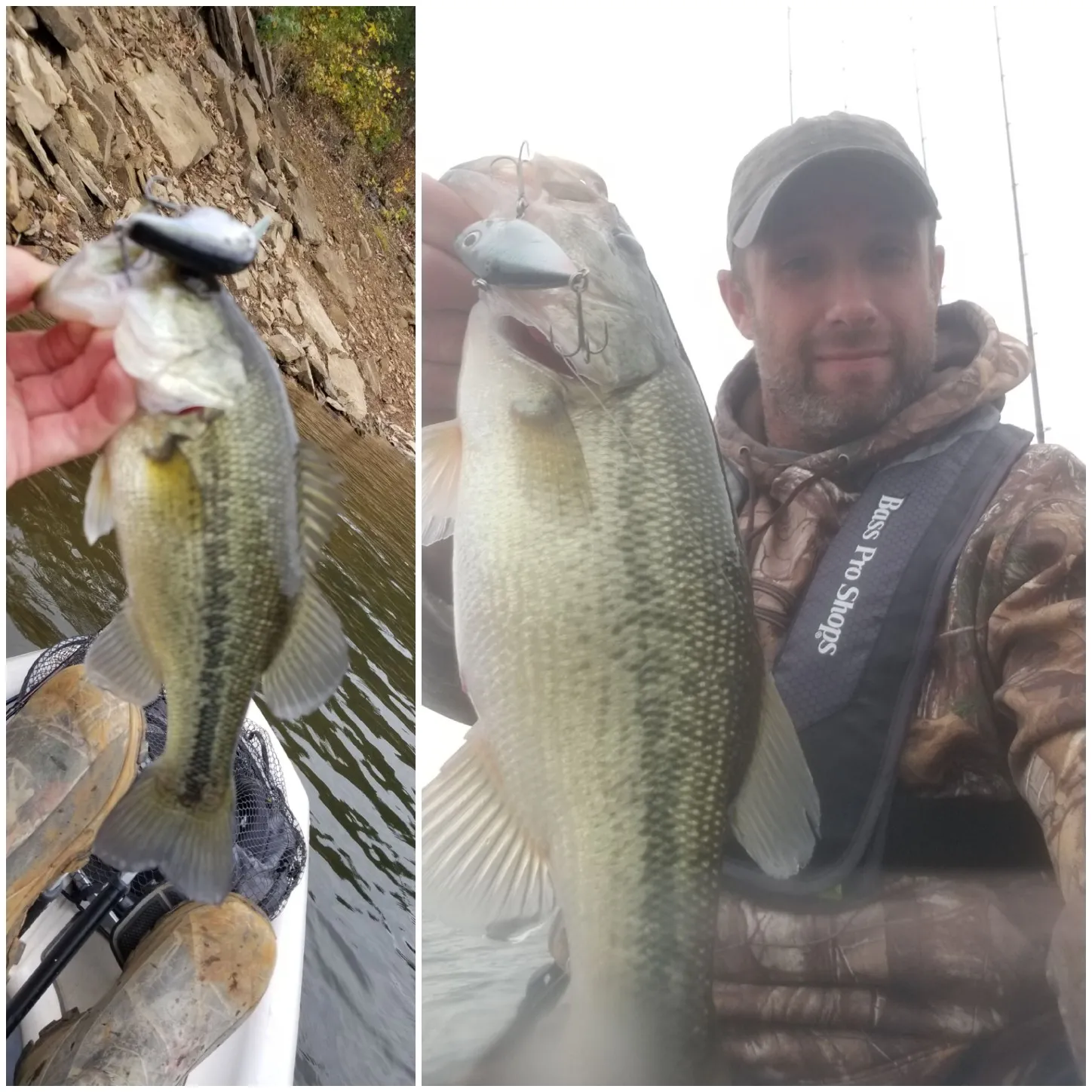 recently logged catches