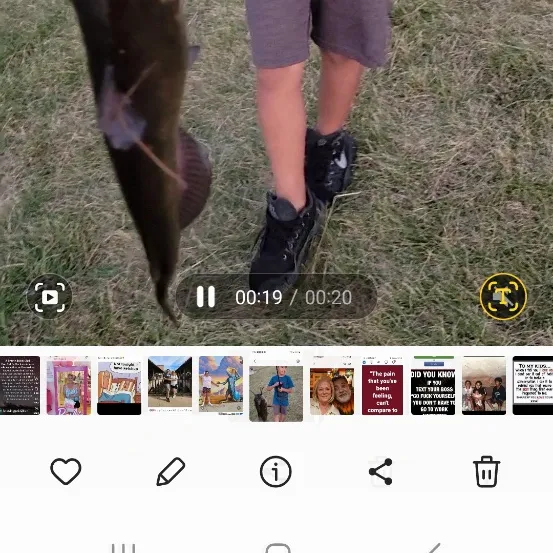 recently logged catches