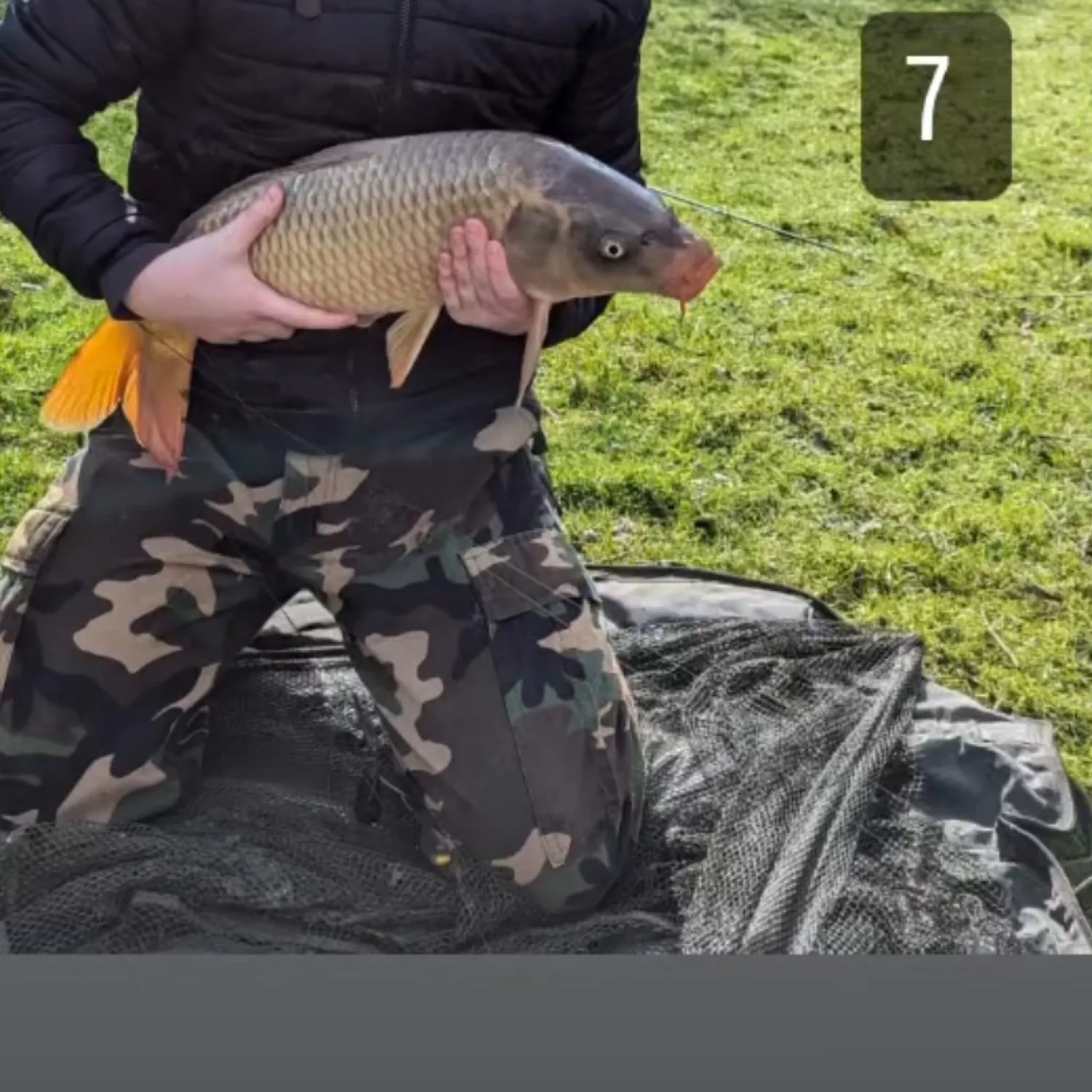 ᐅ Hurston Lane Fishery, Storrington (Petworth & Bognor Angling Club ...