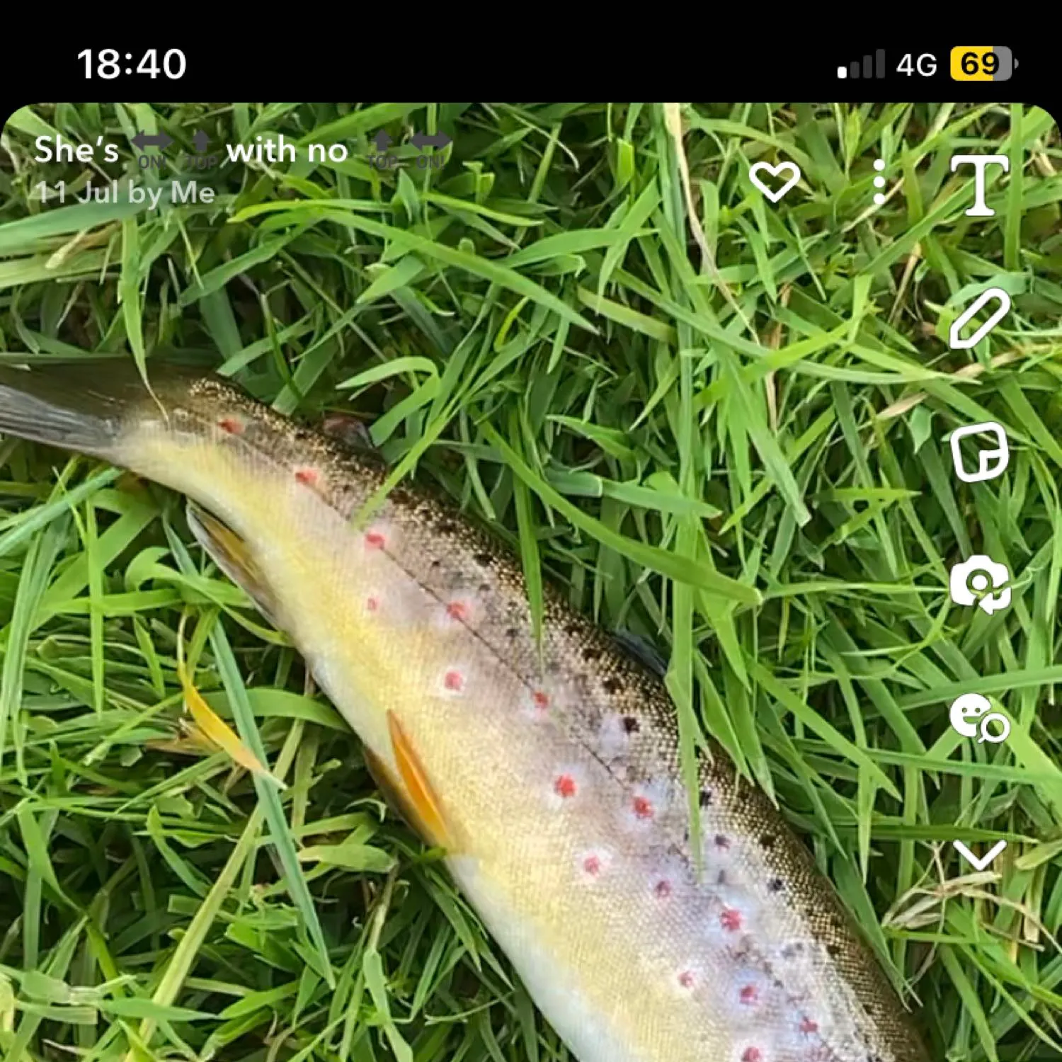 recently logged catches