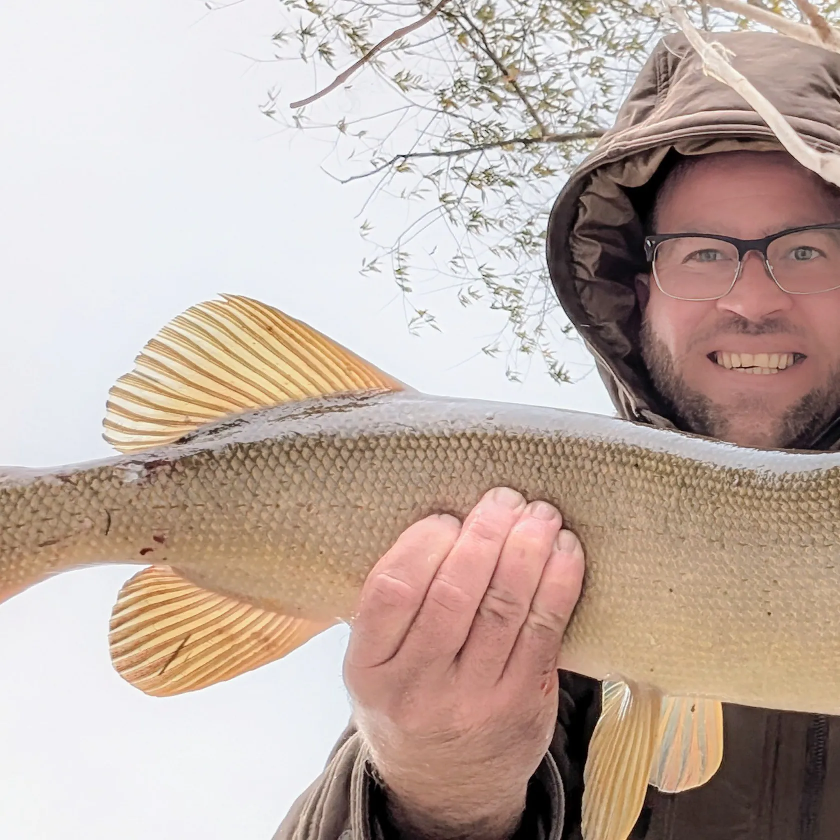 The most popular recent Silver pike catch on Fishbrain