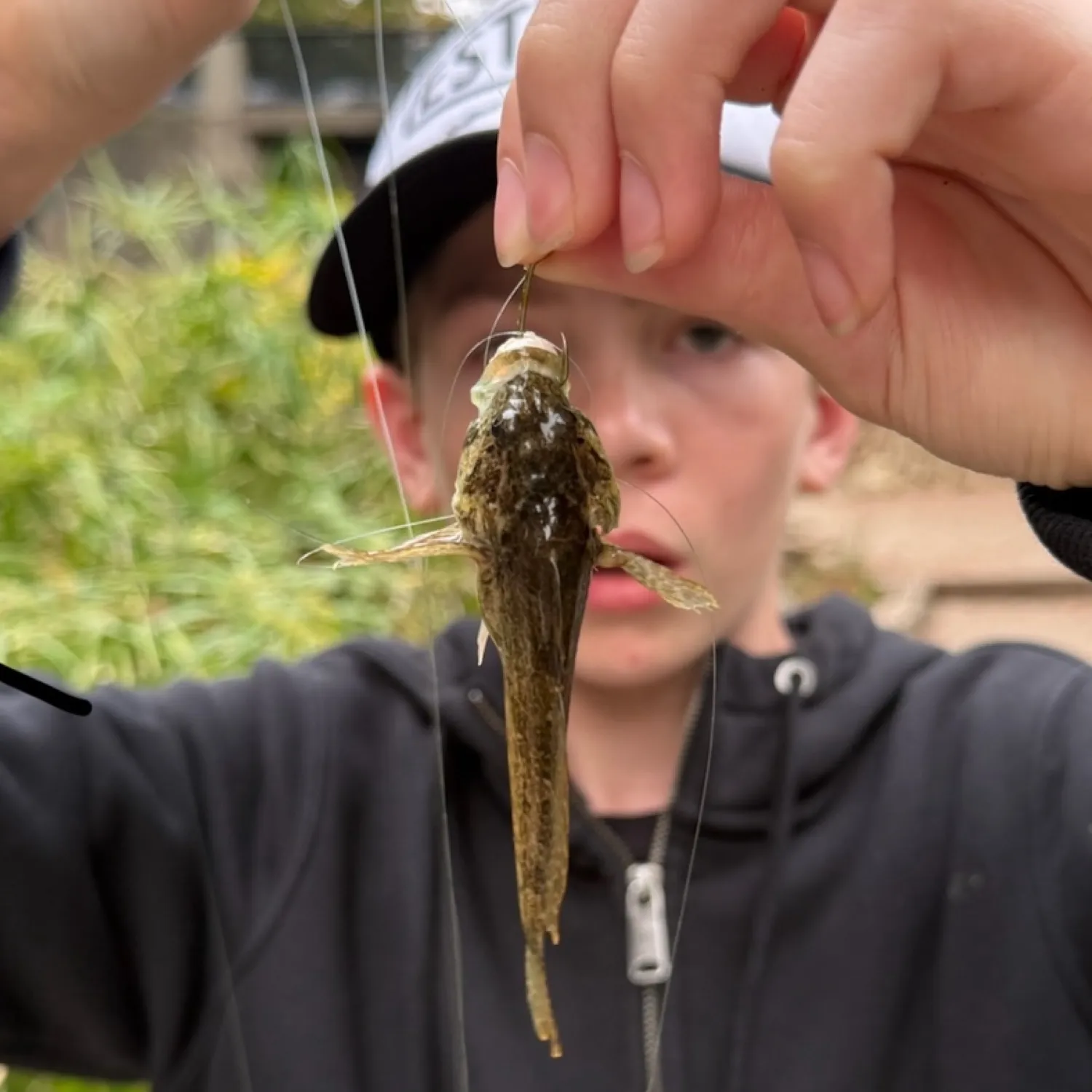 The most popular recent Longspined bullhead catch on Fishbrain