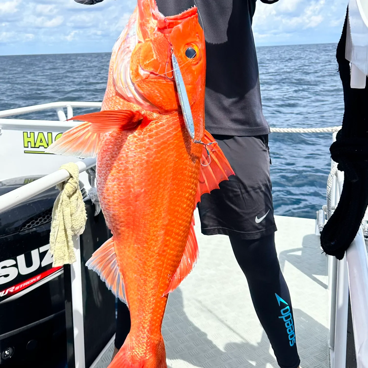 The most popular recent Ruby snapper catch on Fishbrain