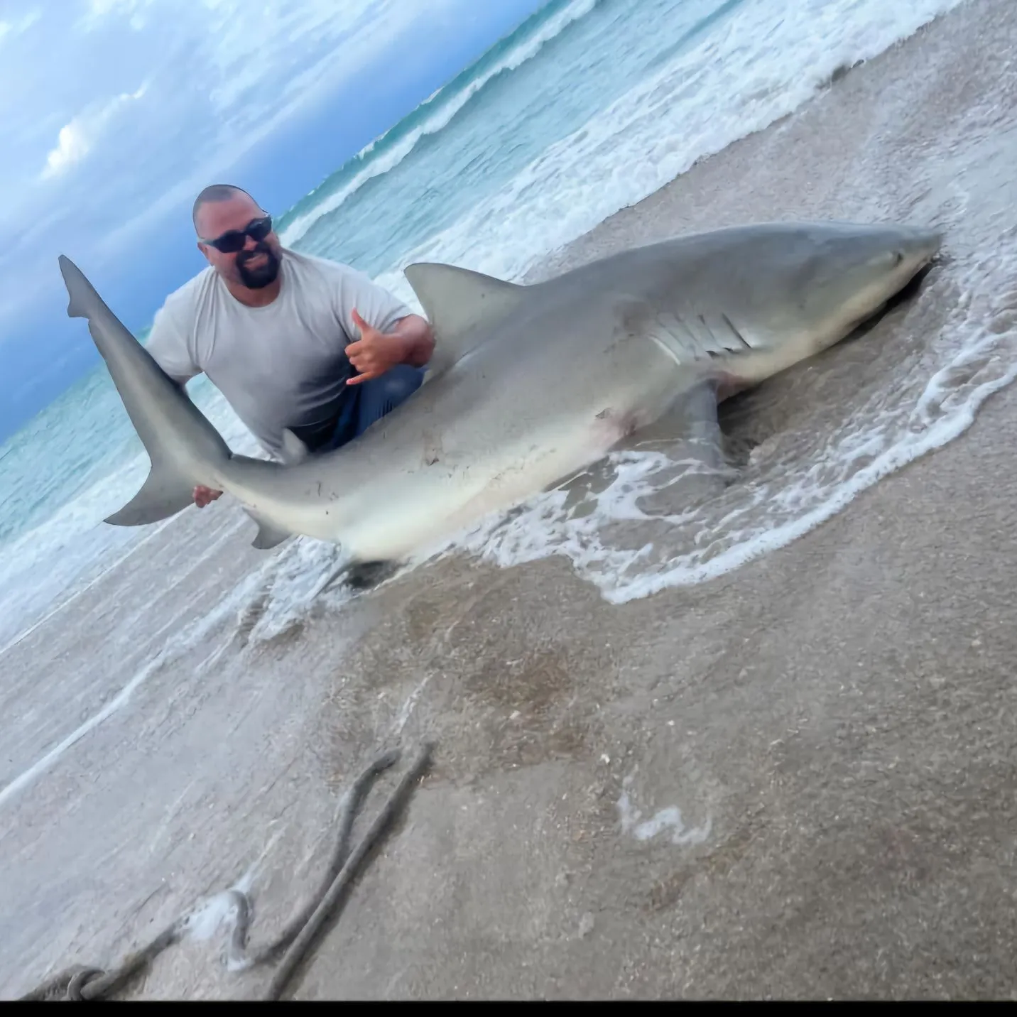 The most popular recent Bull shark catch on Fishbrain