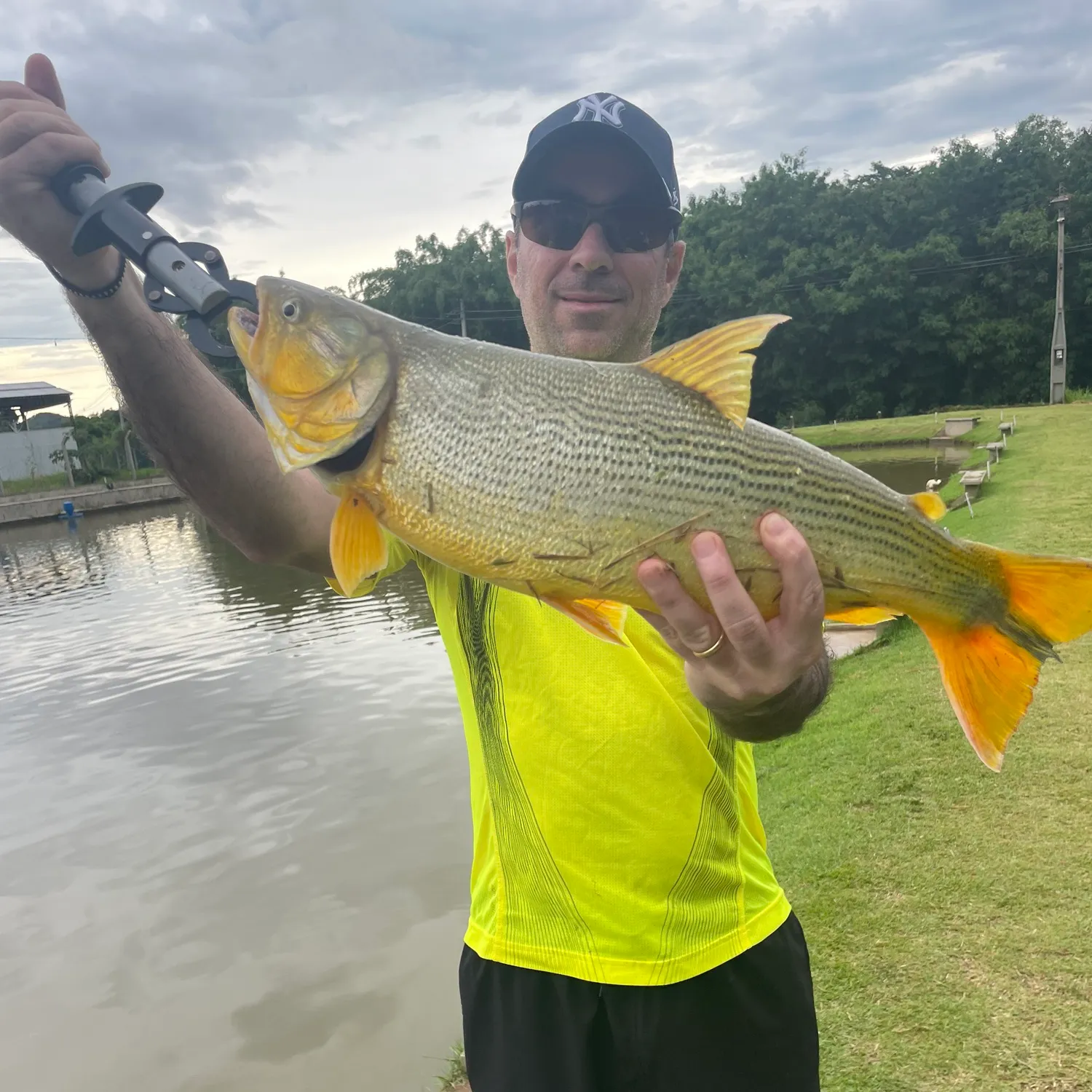 The most popular recent Golden dorado catch on Fishbrain