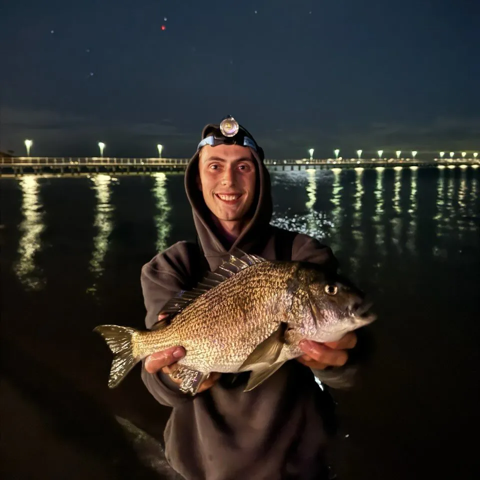 The most popular recent Southern black bream catch on Fishbrain