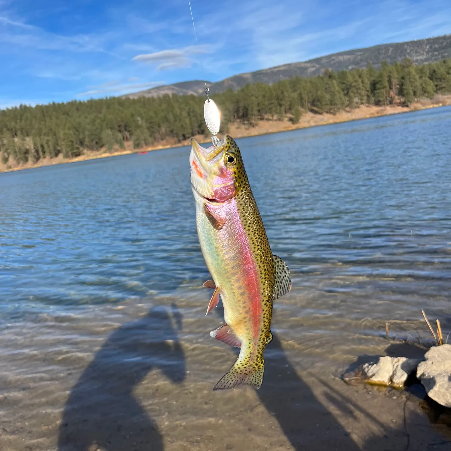 ᐅ Haviland Lake fishing reports🎣• Durango, CO (United States) fishing