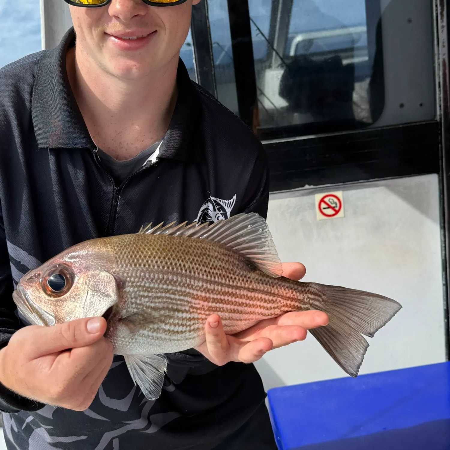 The most popular recent Pearl perch catch on Fishbrain