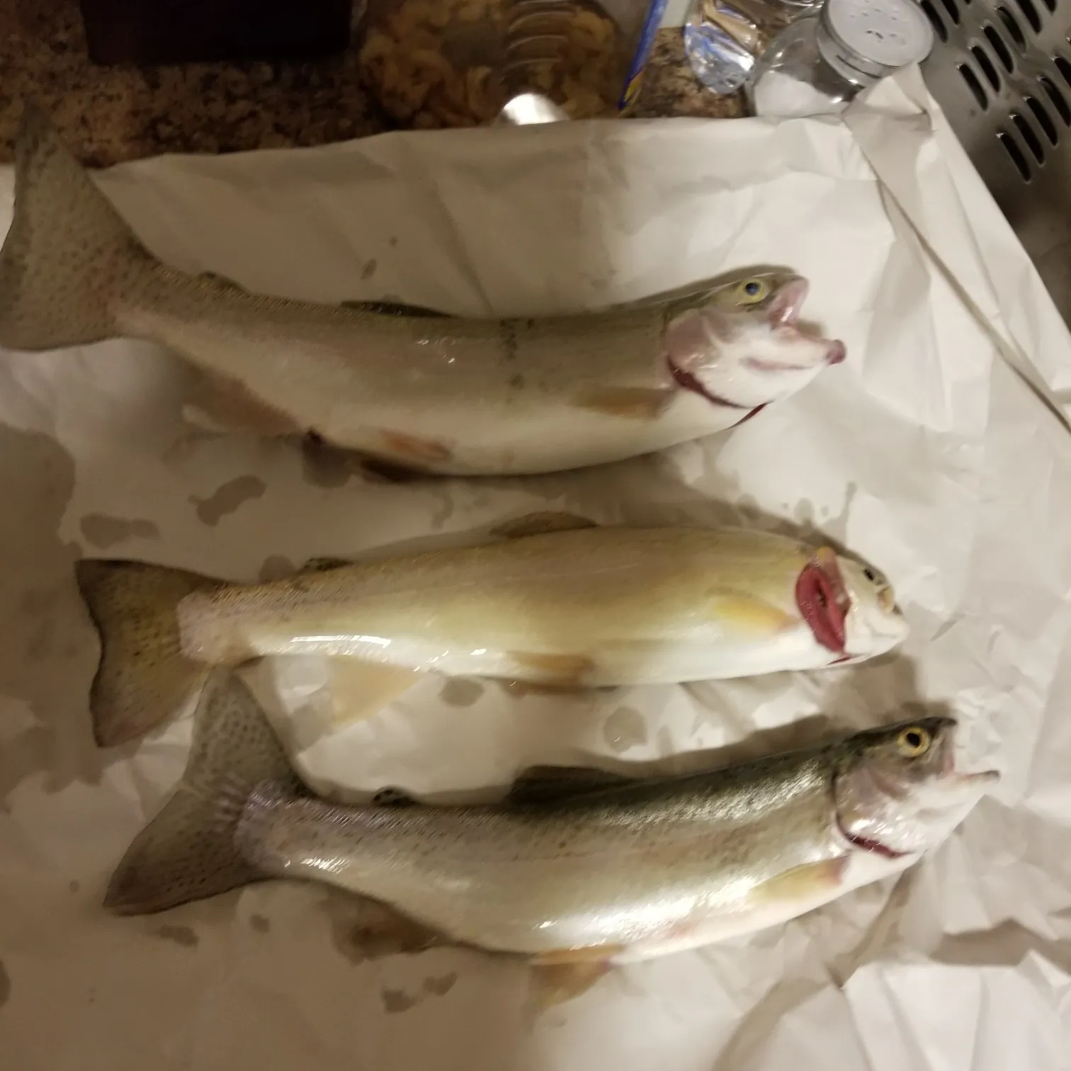 recently logged catches