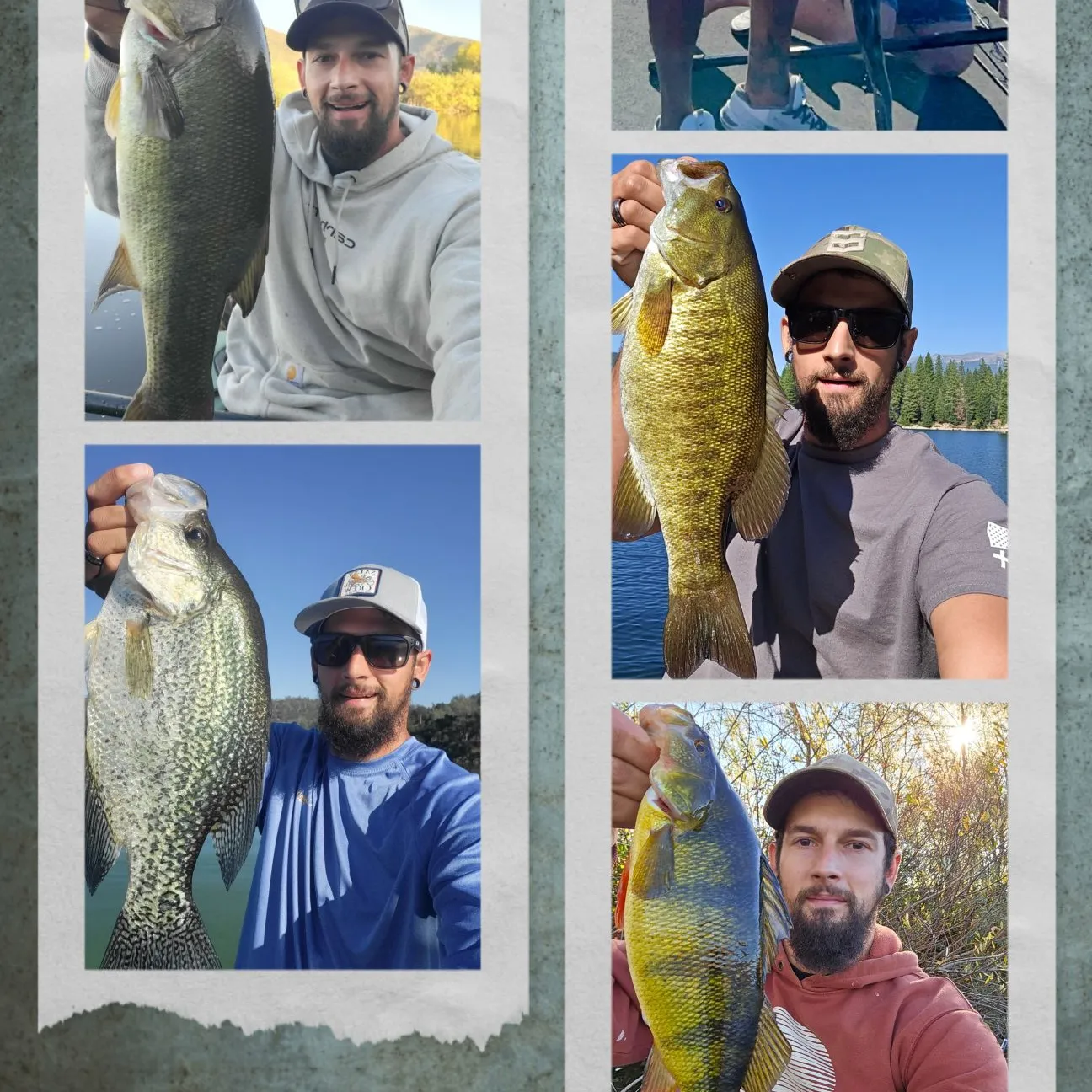 recently logged catches