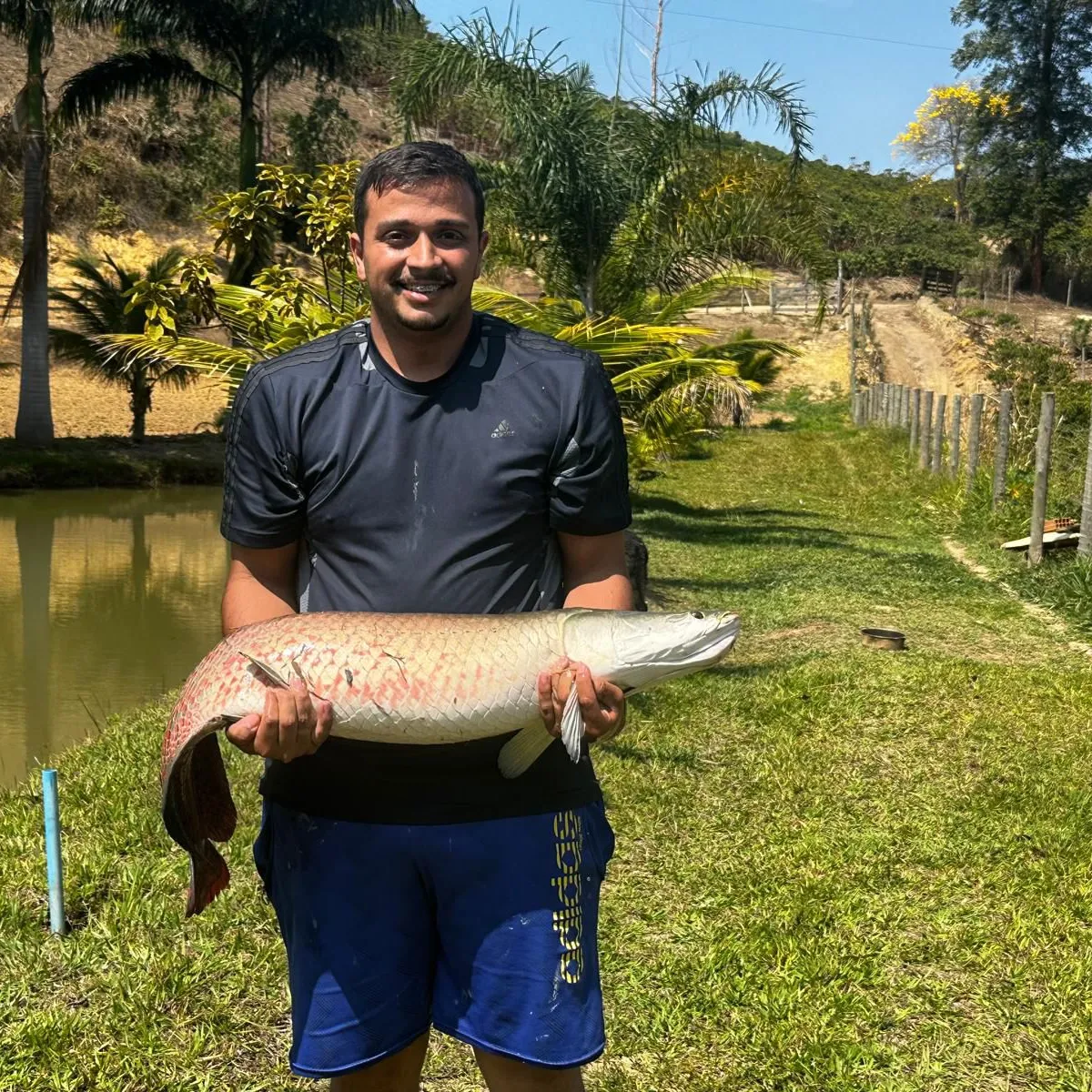 The most popular recent Arapaima catch on Fishbrain