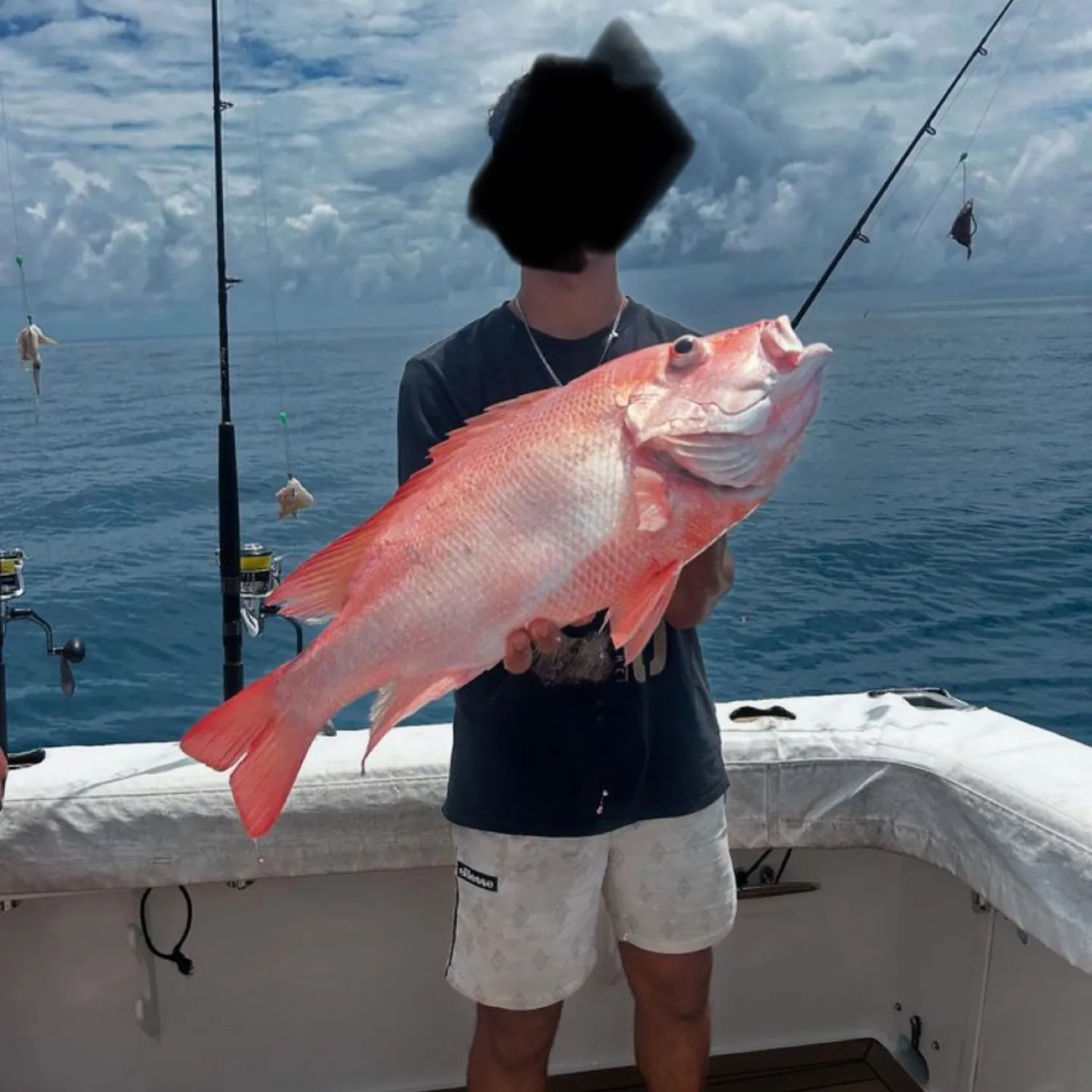 The most popular recent Malabar blood snapper catch on Fishbrain