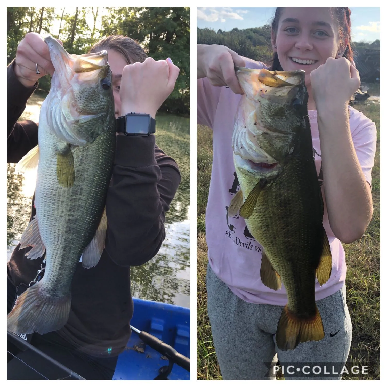 recently logged catches