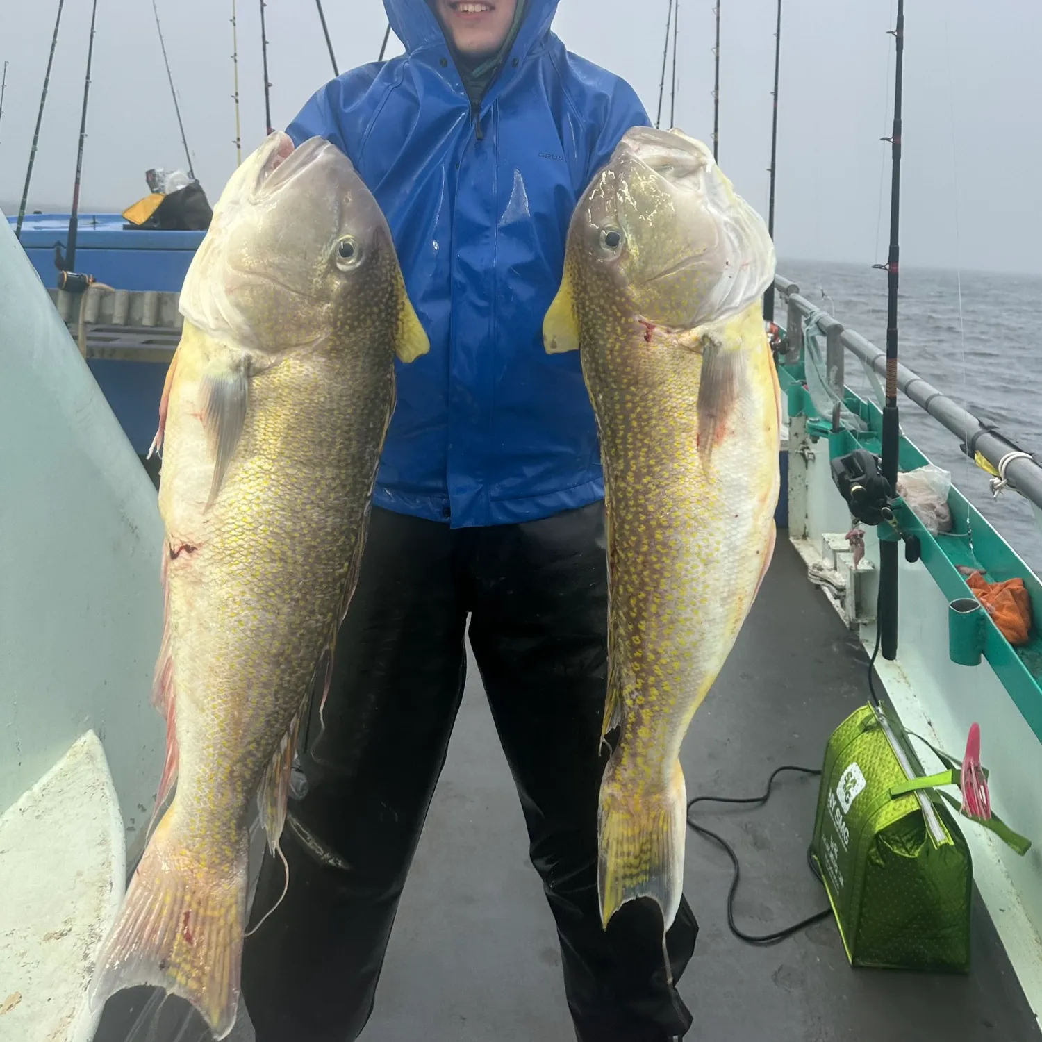 The most popular recent Great northern tilefish catch on Fishbrain