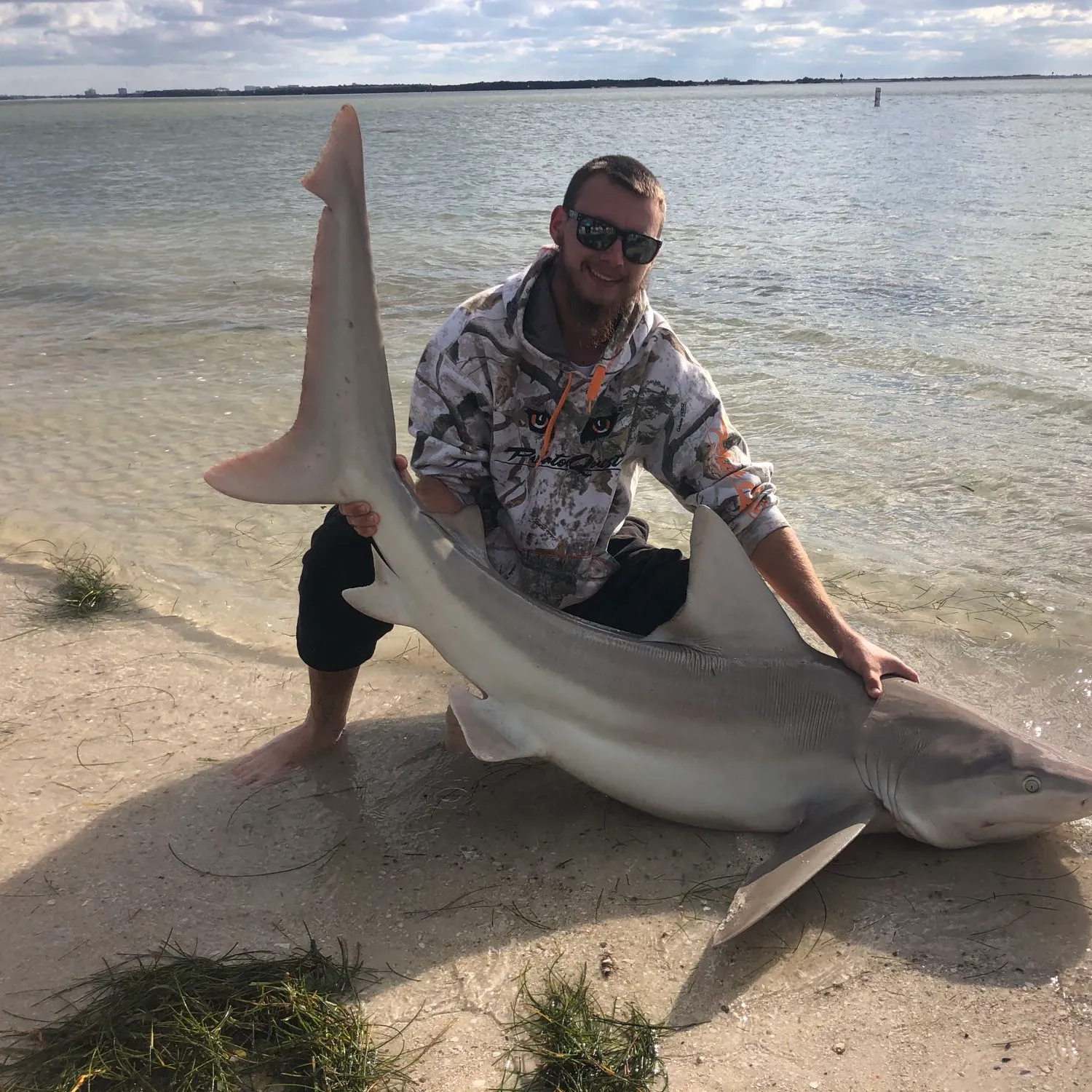 The most popular recent Sandbar shark catch on Fishbrain