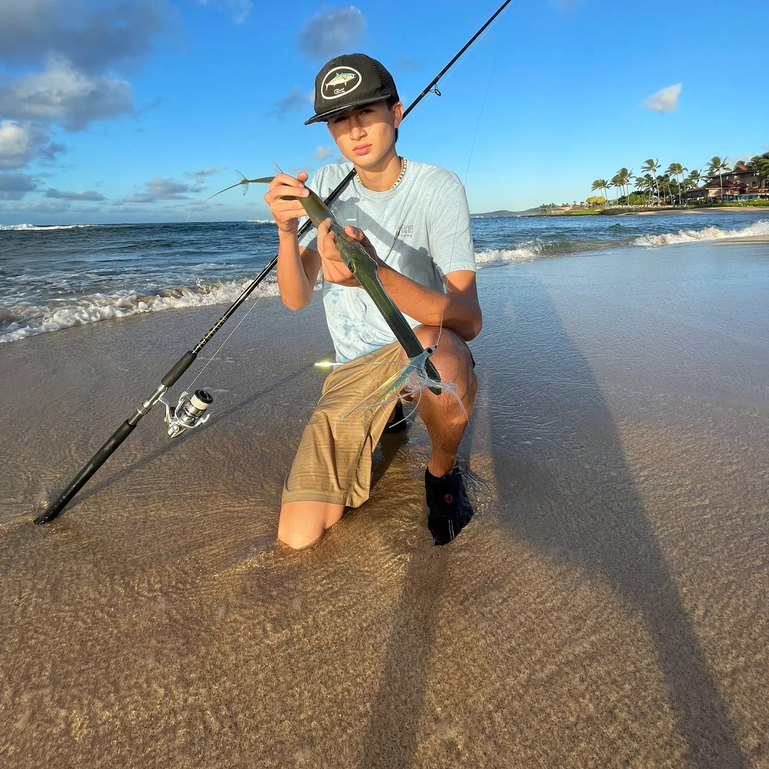 The most popular recent Bluespotted cornetfish catch on Fishbrain