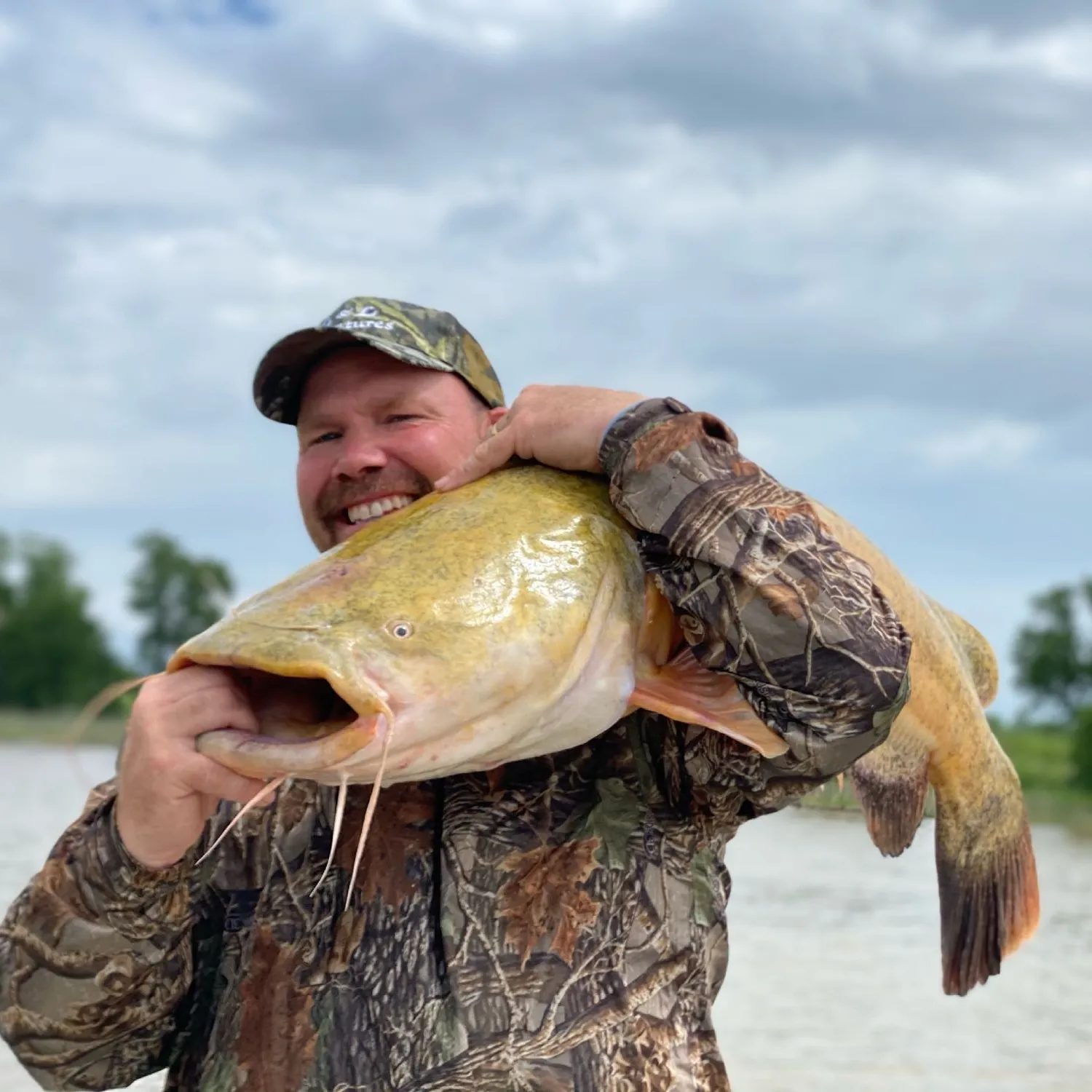 The most popular recent Flathead catfish catch on Fishbrain