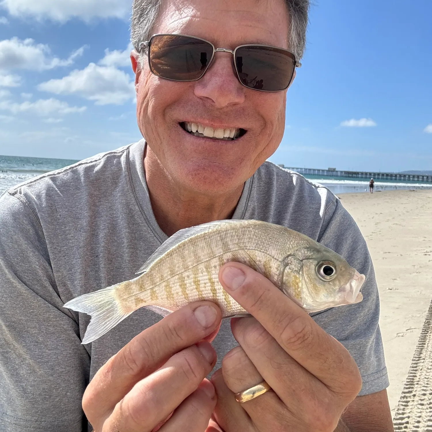 The most popular recent Barred surfperch catch on Fishbrain