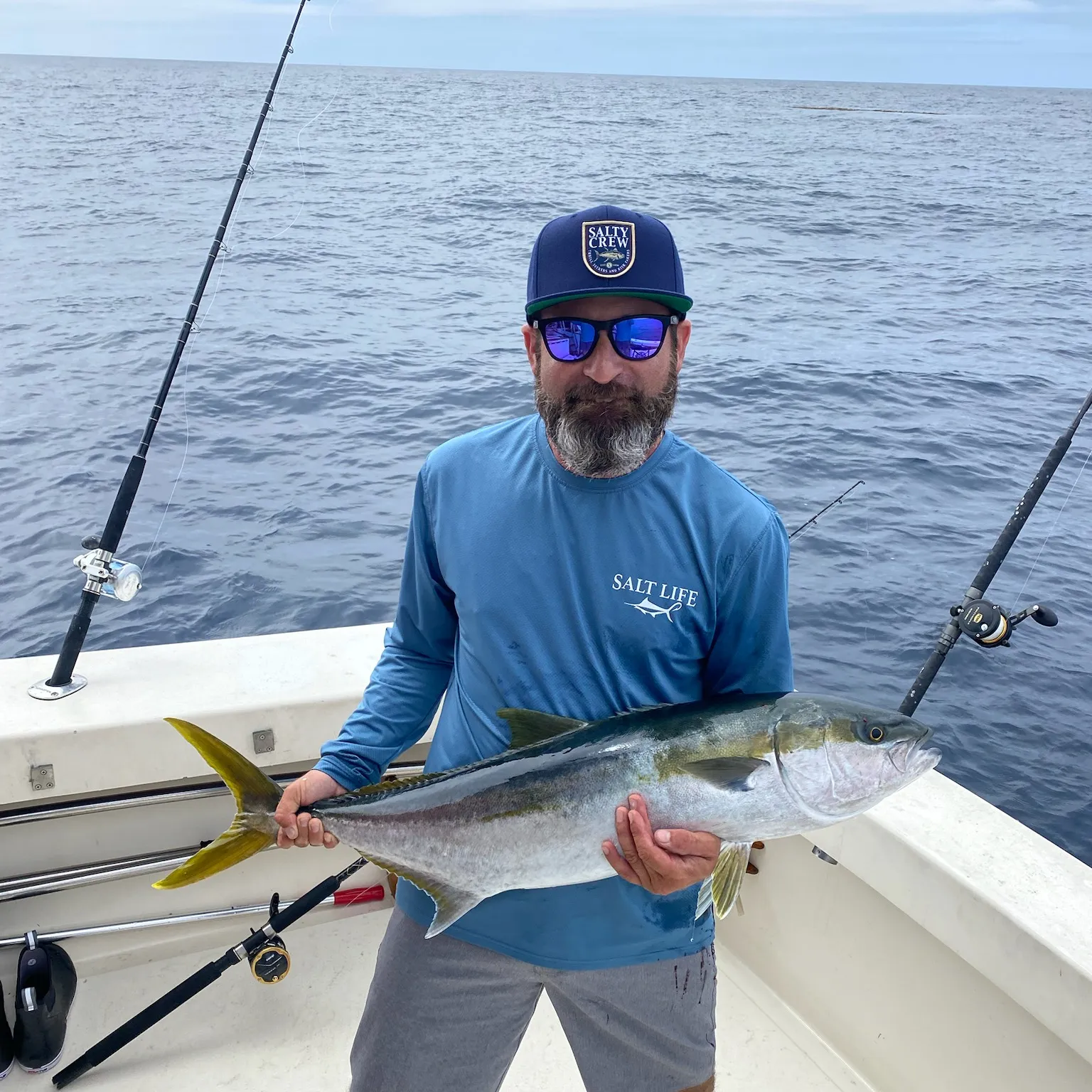 The most popular recent California yellowtail amberjack catch on Fishbrain