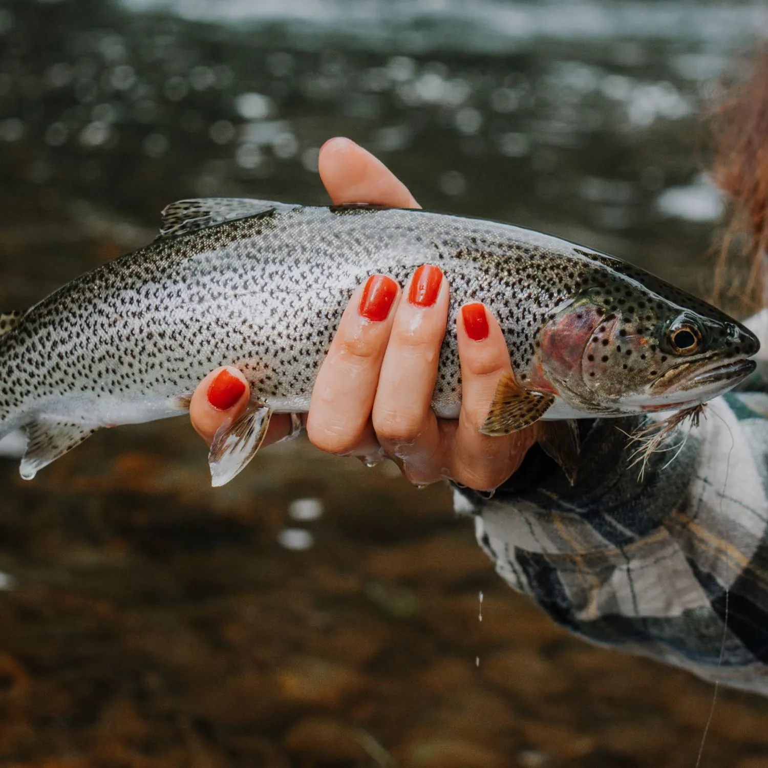 The most popular recent Coastal cutthroat trout catch on Fishbrain