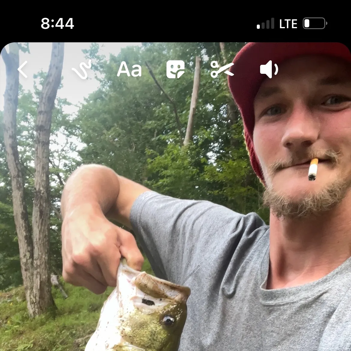 recently logged catches