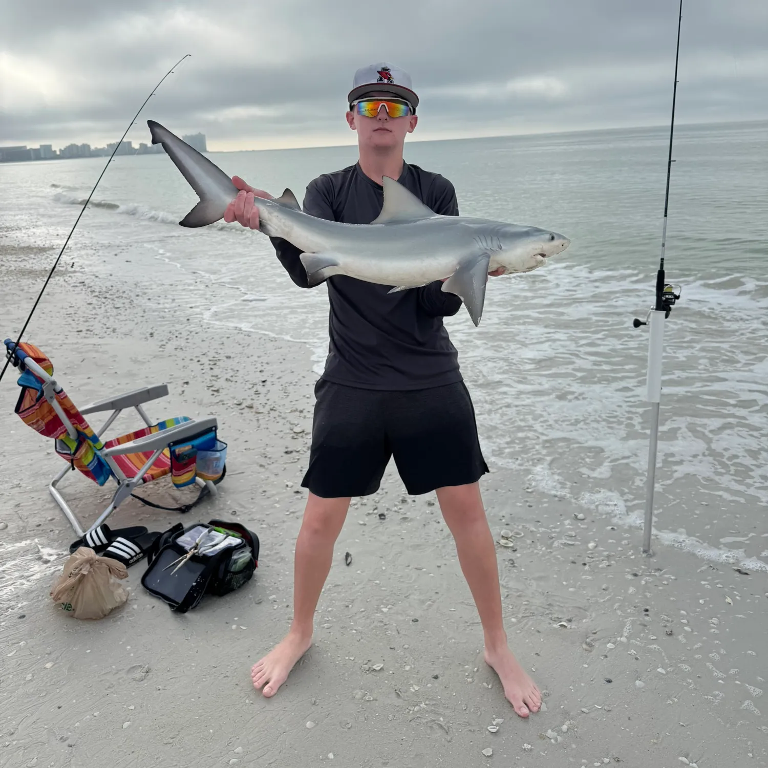 The most popular recent Bull shark catch on Fishbrain