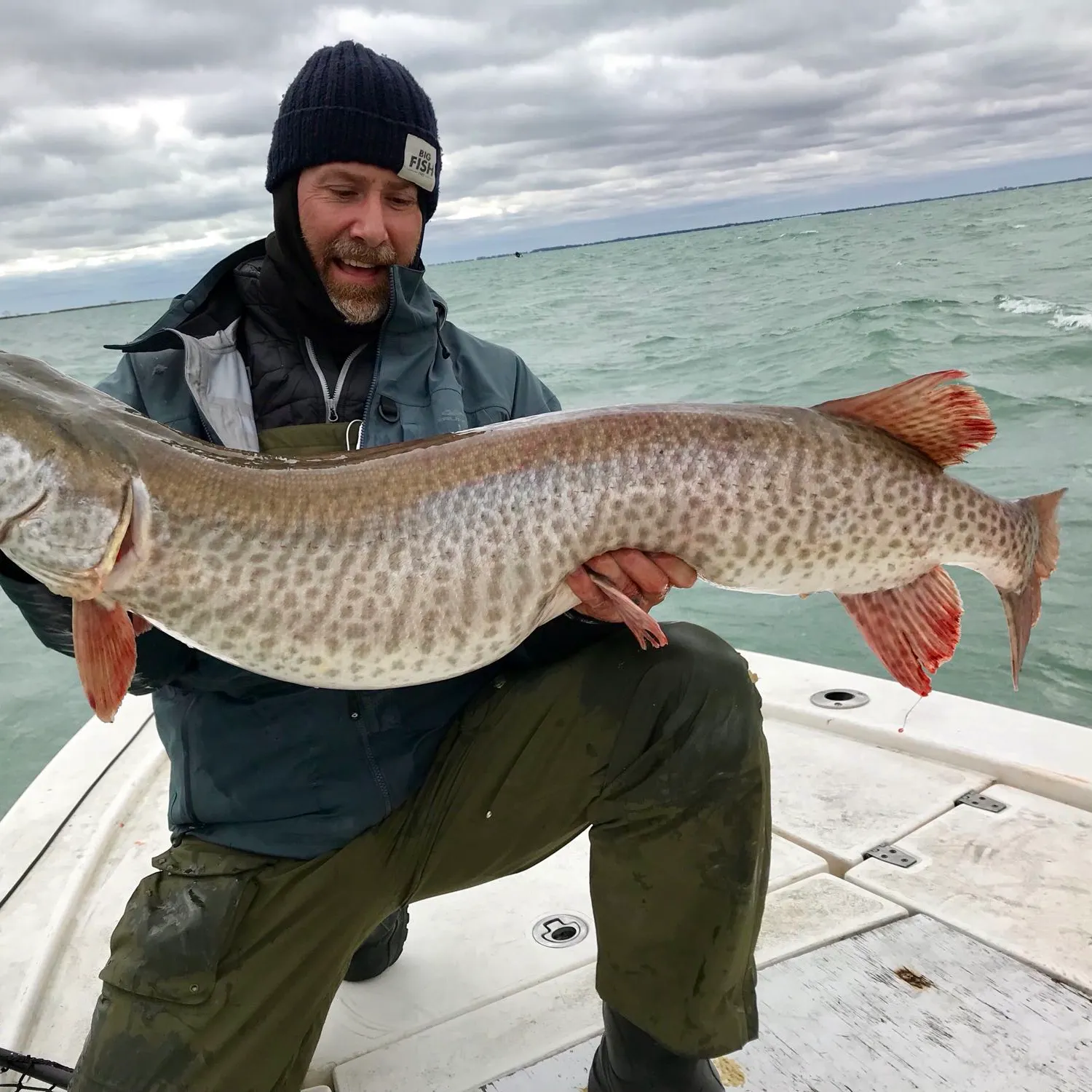 The most popular recent Muskellunge catch on Fishbrain