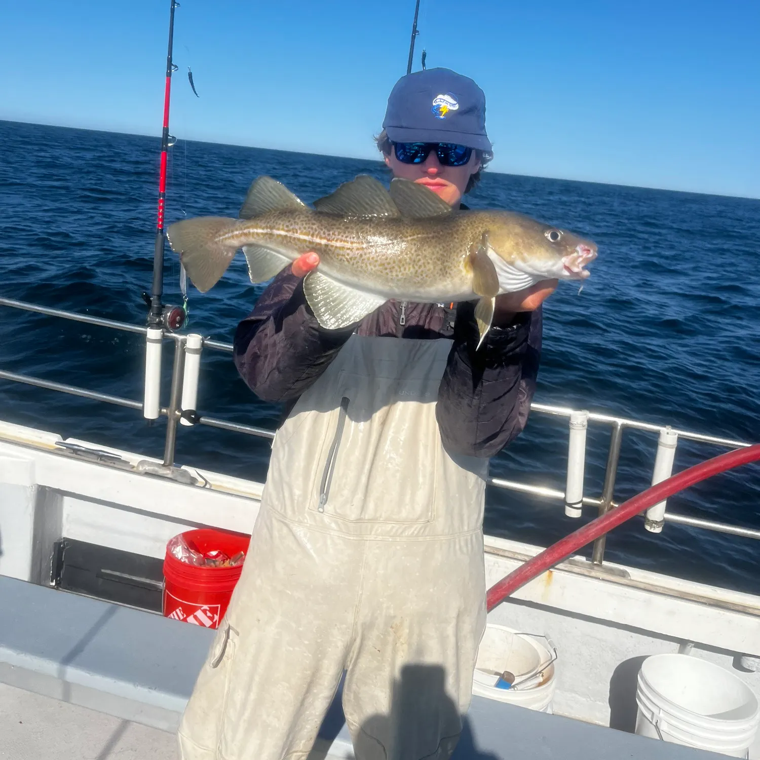 The most popular recent White hake catch on Fishbrain