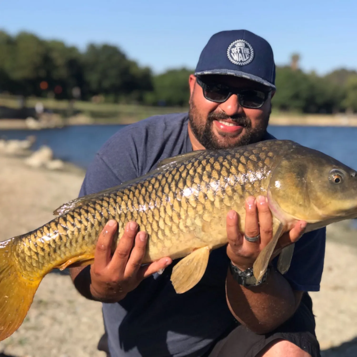 The most popular recent Common carp catch on Fishbrain