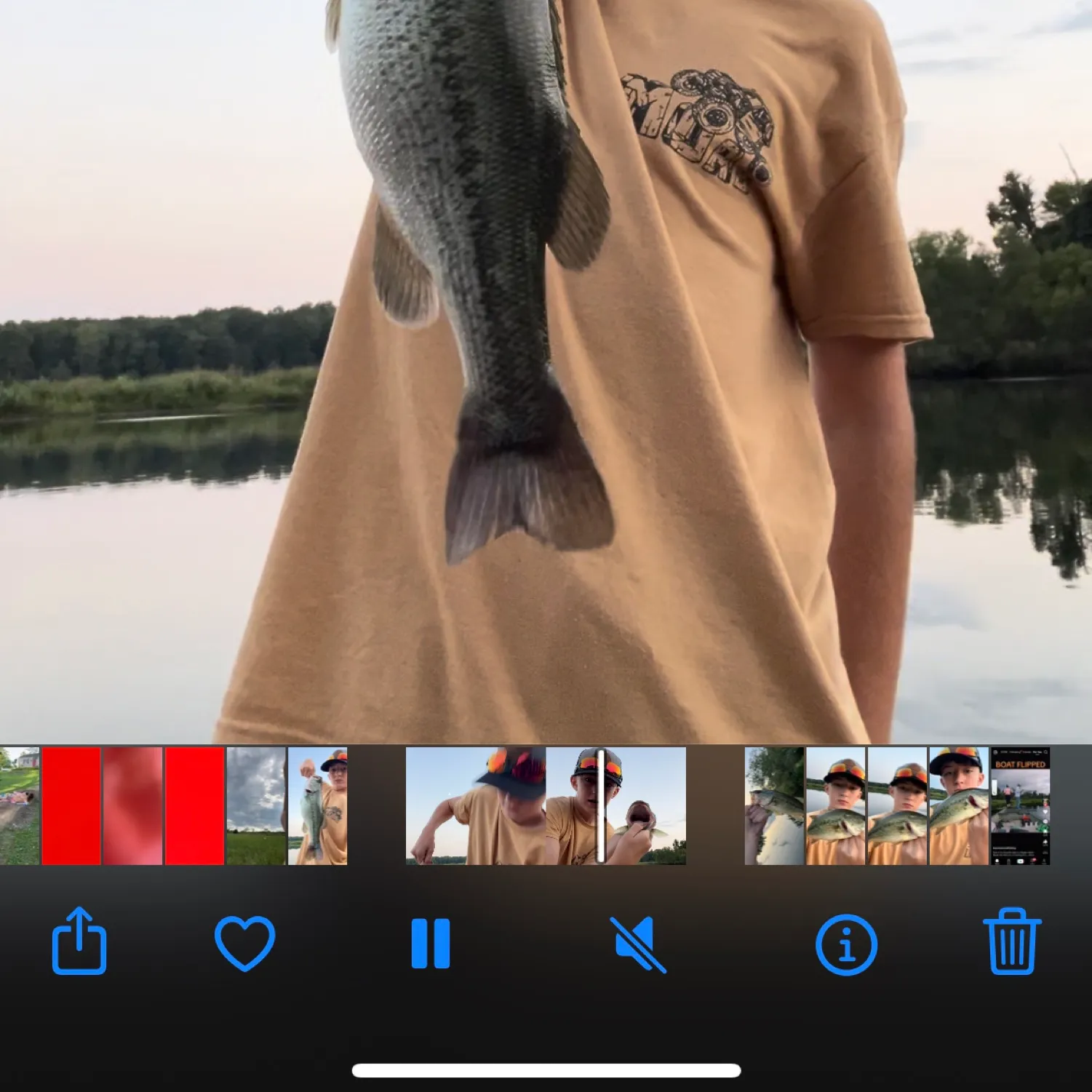 recently logged catches