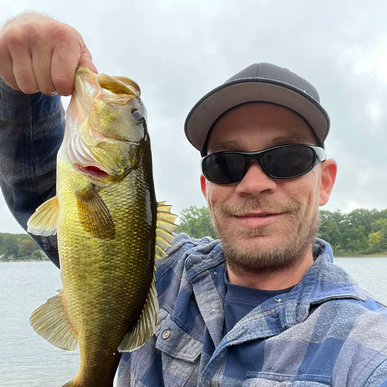 ᐅ Big Fish Lake fishing reports🎣• Lapeer, MI (United States) fishing